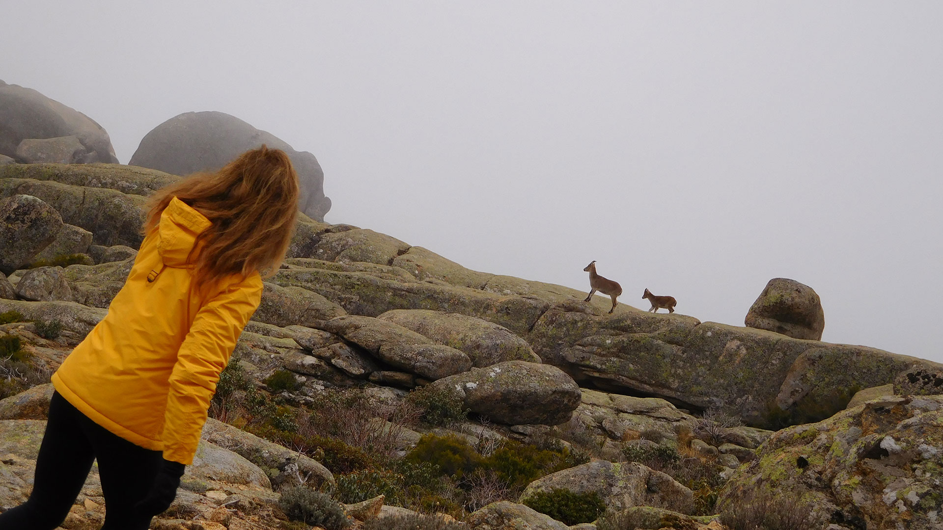 Caminata- Pedriza-Vuelta al Yelmo