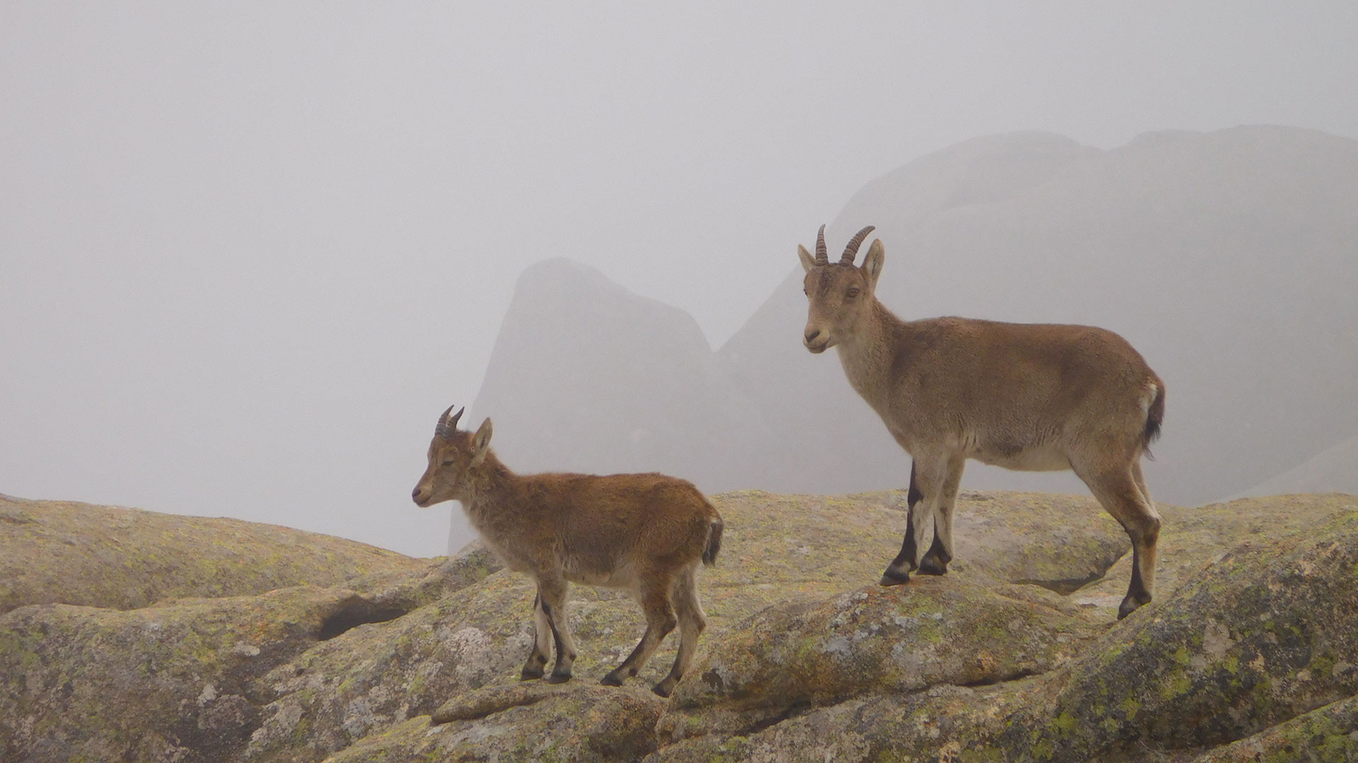 Caminata- Pedriza-Vuelta al Yelmo