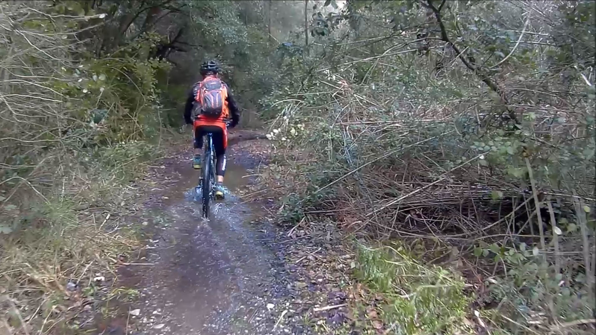 Pedalada pel Rodal
