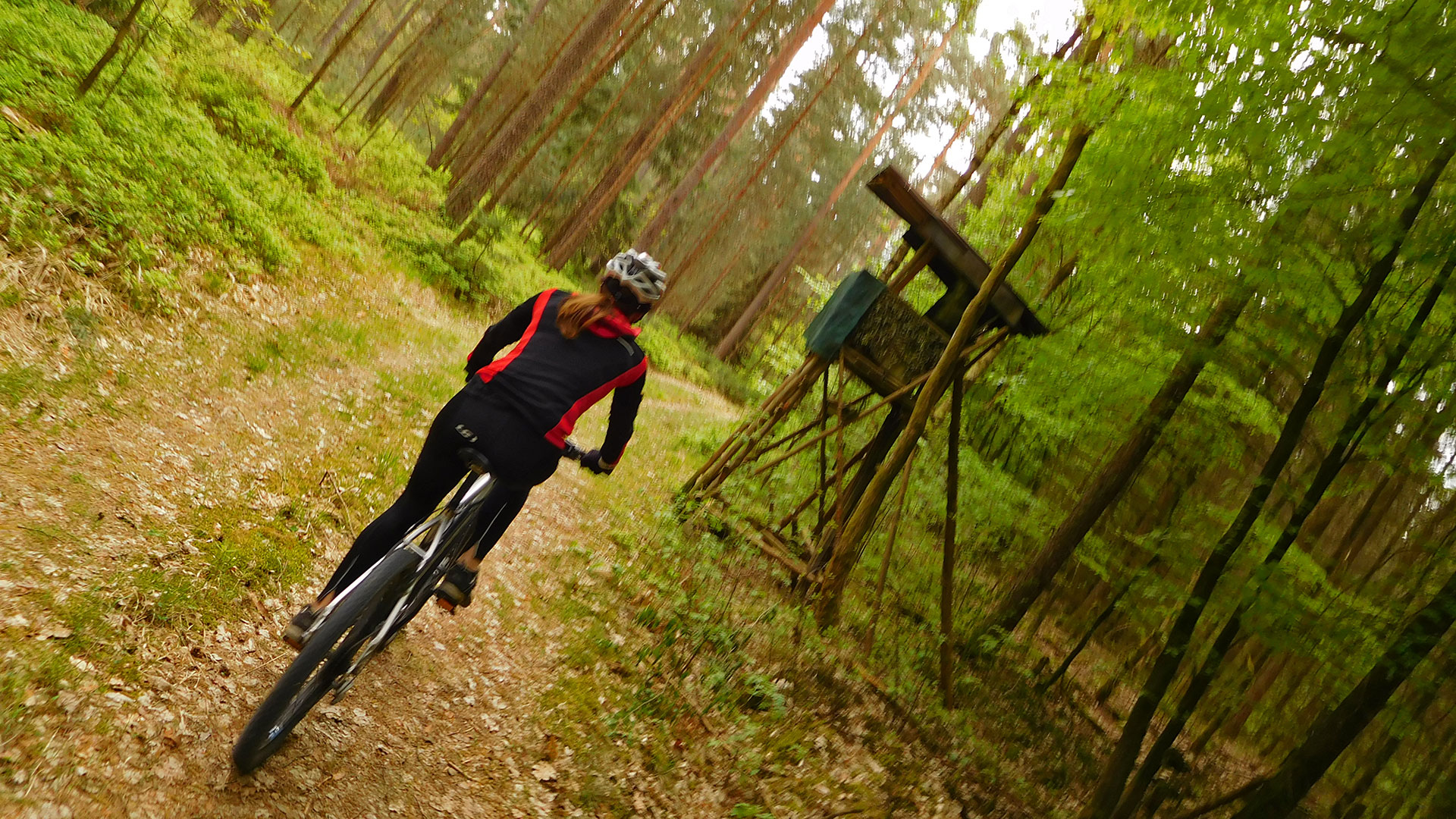 MTB Erlangen - Dechsendorf Forest