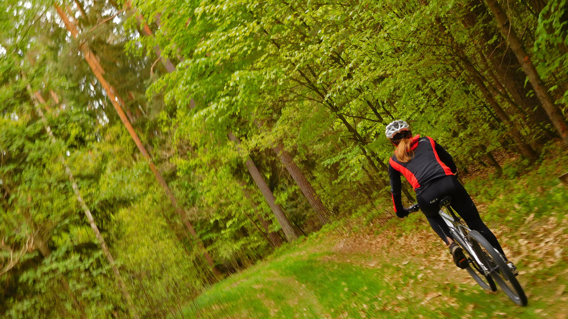 MTB Erlangen - Dechsendorf Forest