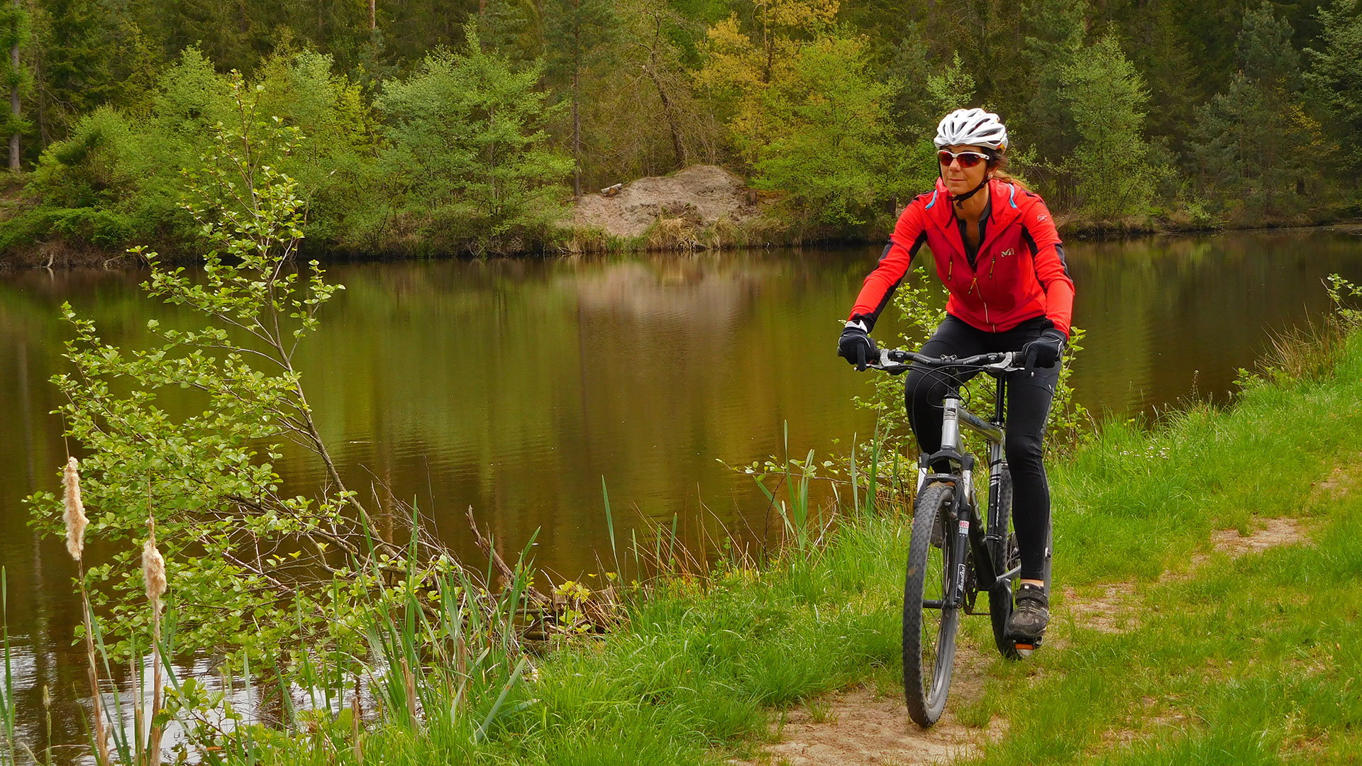 MTB Erlangen - Dechsendorf Forest
