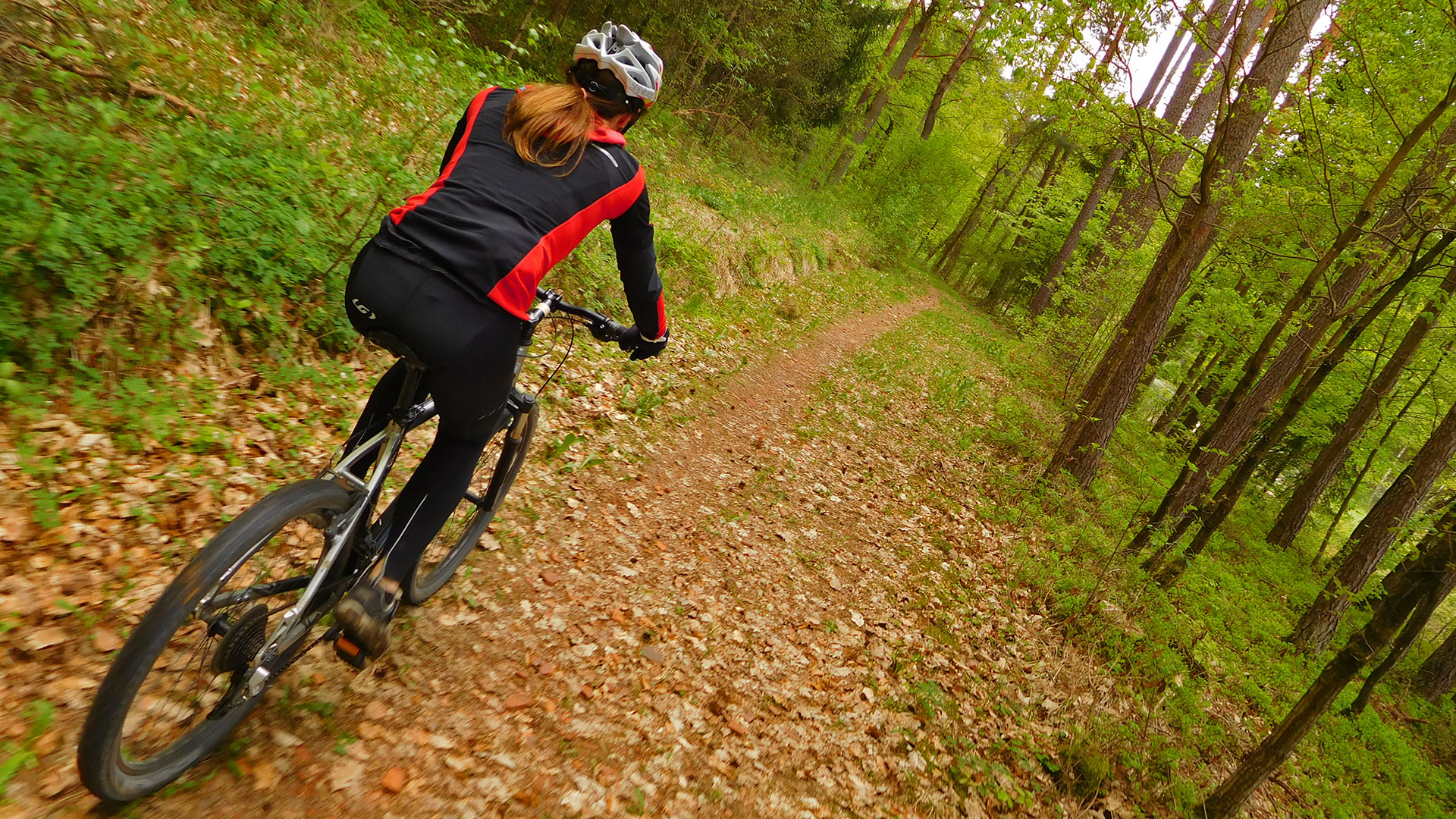 MTB Erlangen - Dechsendorf Forest