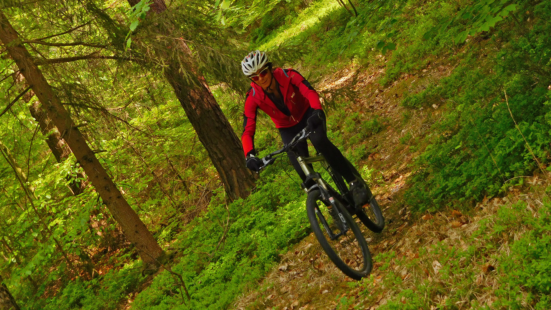 MTB Erlangen - Dechsendorf Forest