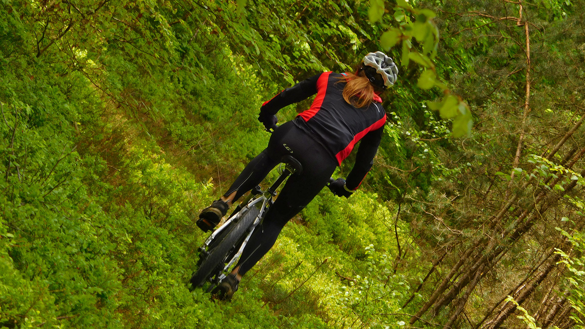 MTB Erlangen - Dechsendorf Forest