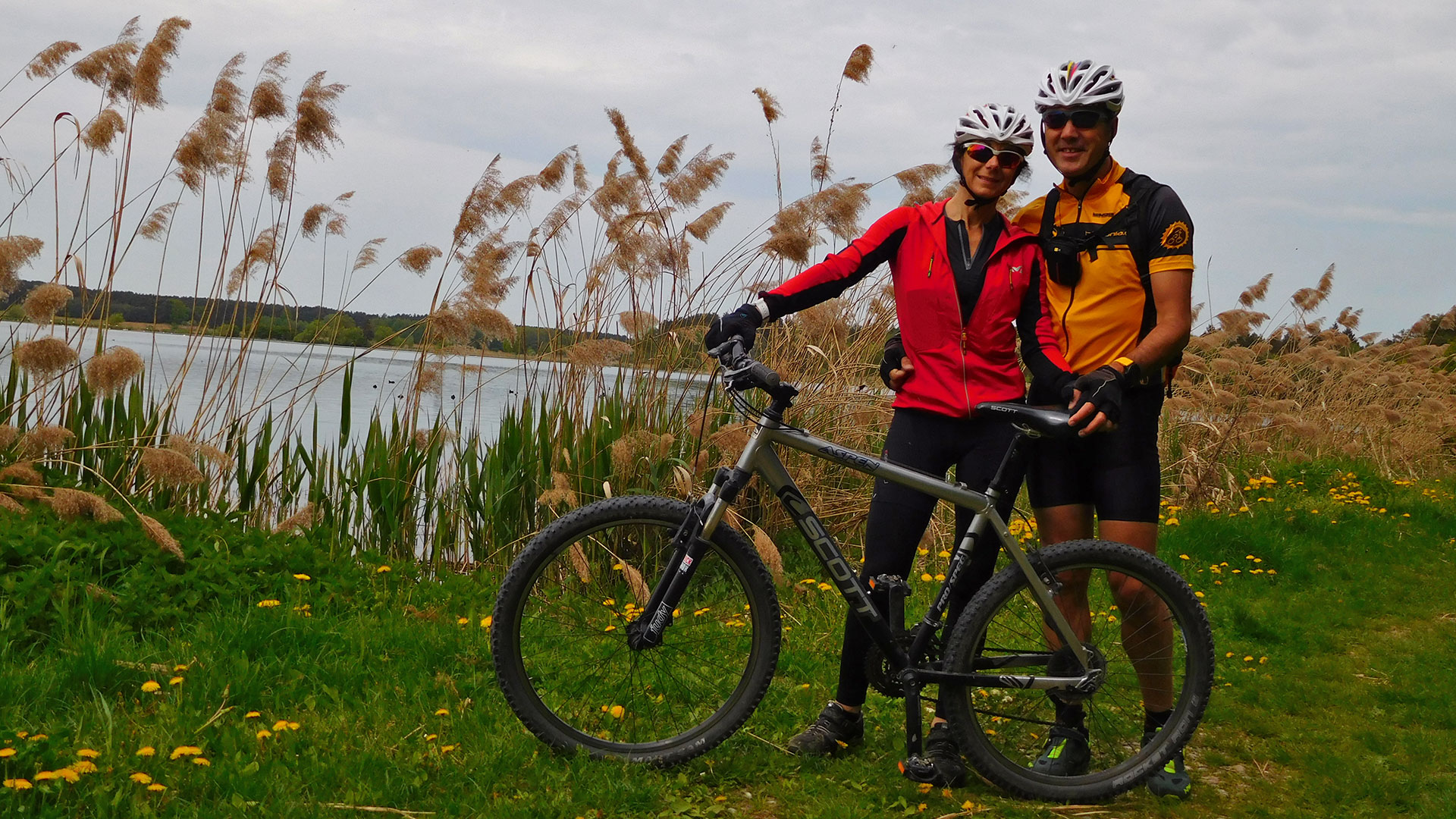 MTB Erlangen - Dechsendorf Forest