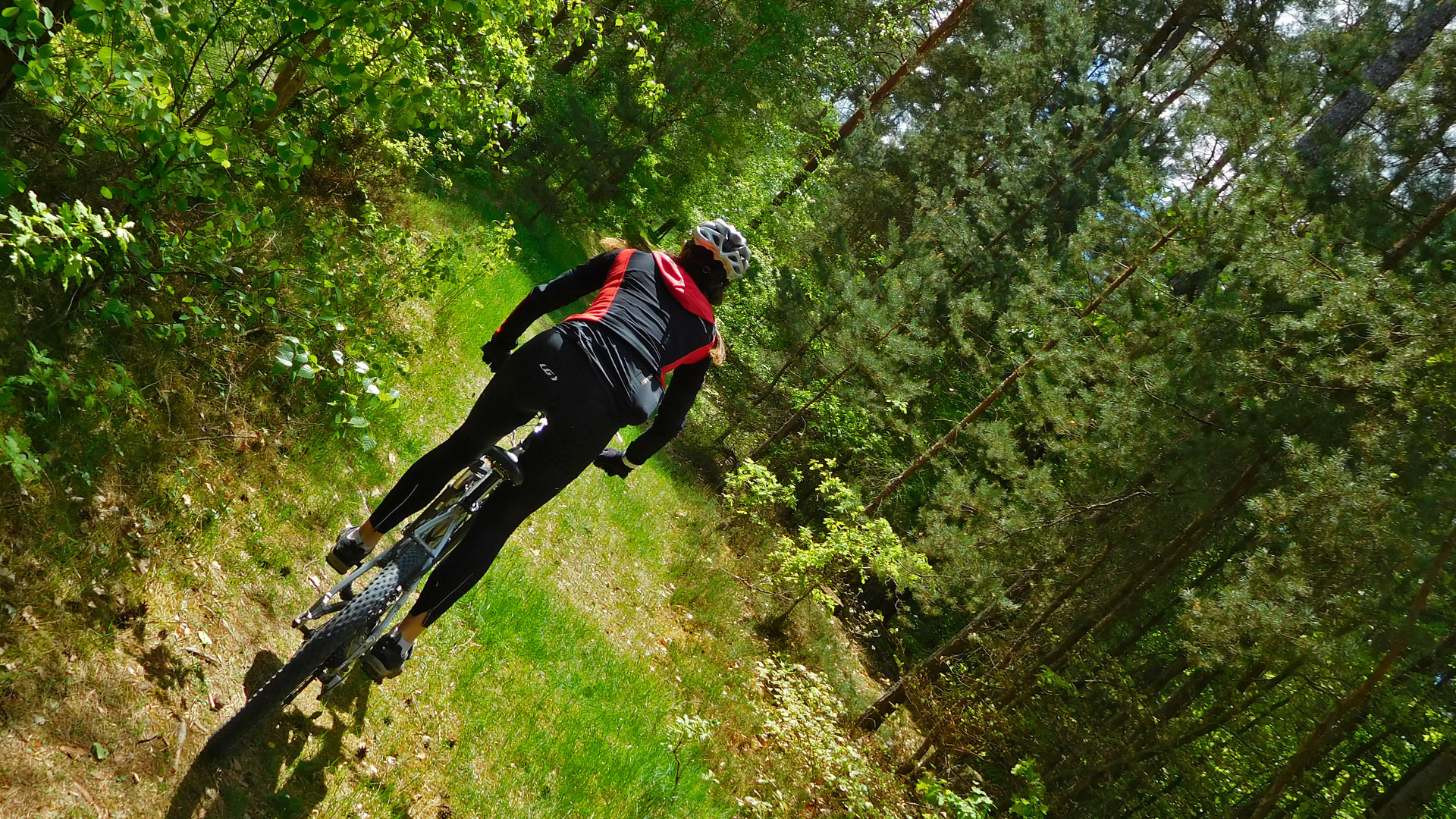 MTB Weisendorf Forest
