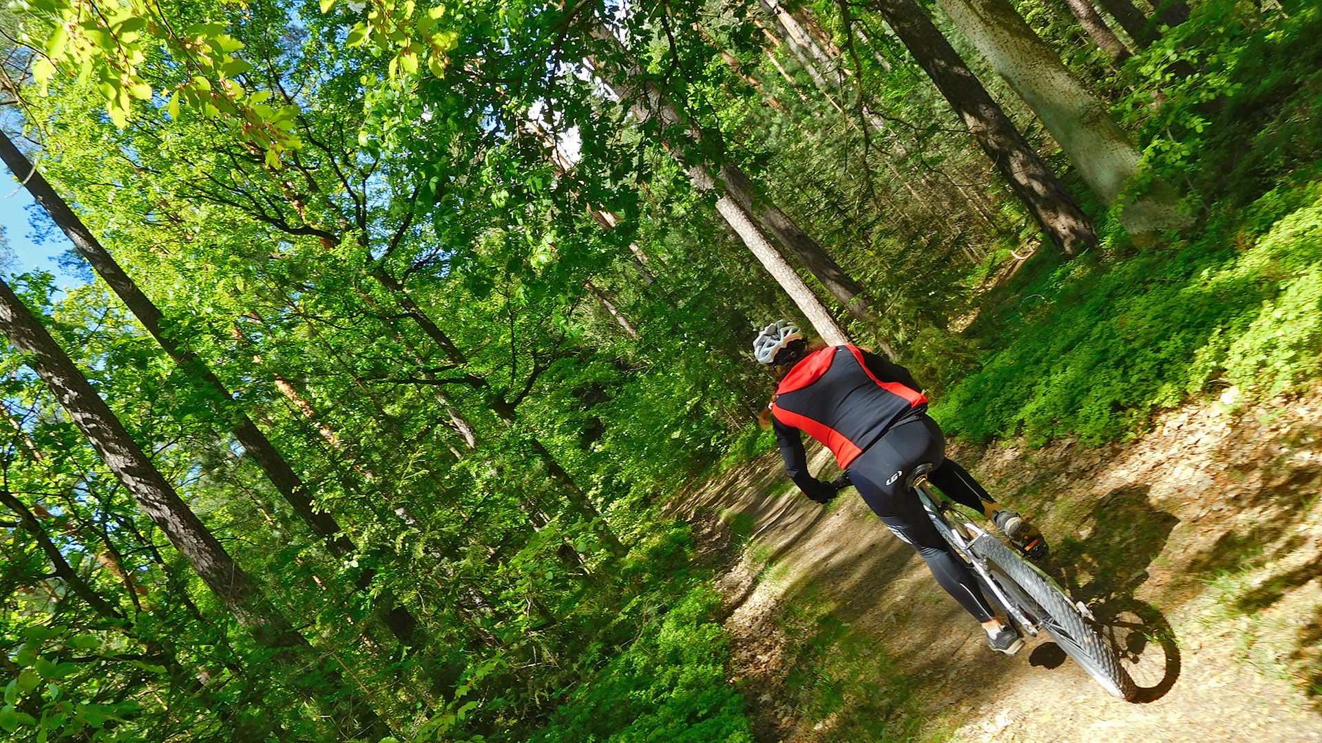 MTB Weisendorf Forest