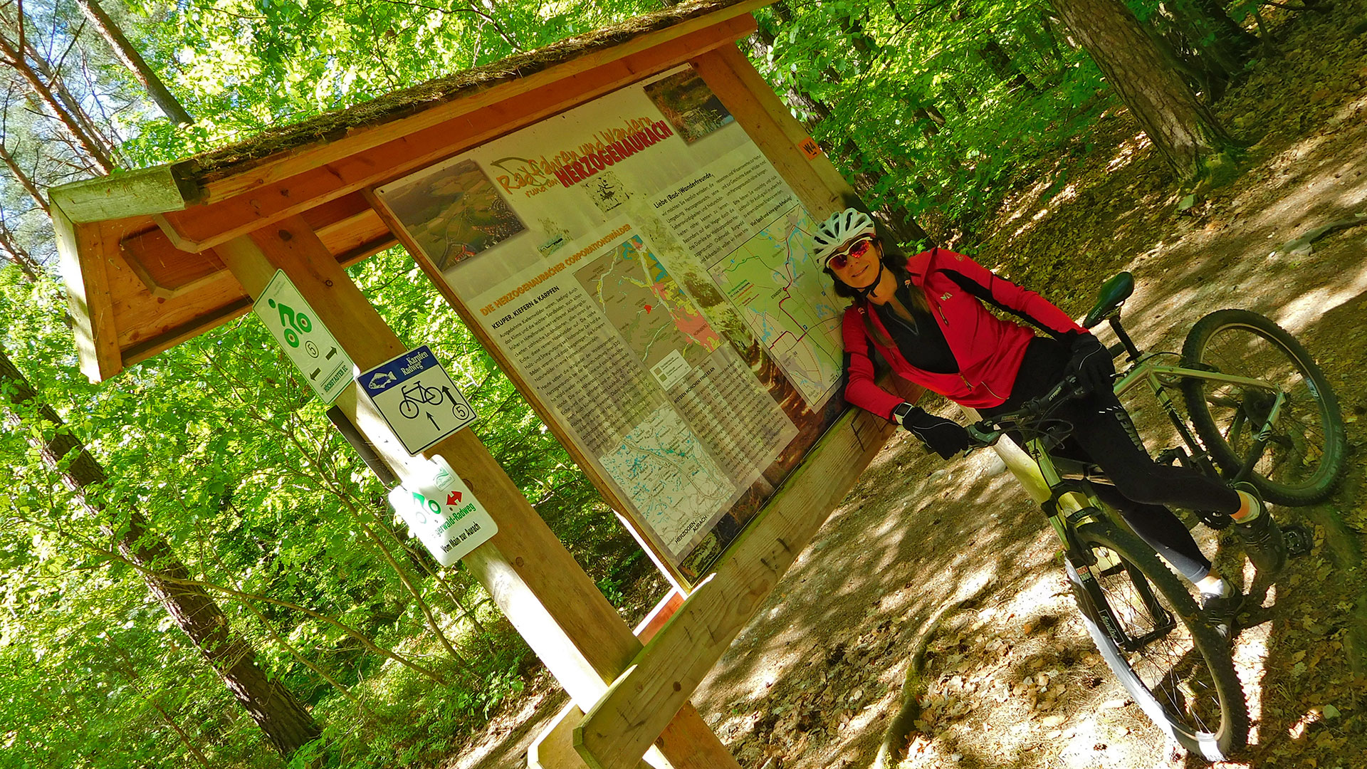 MTB Weisendorf Forest