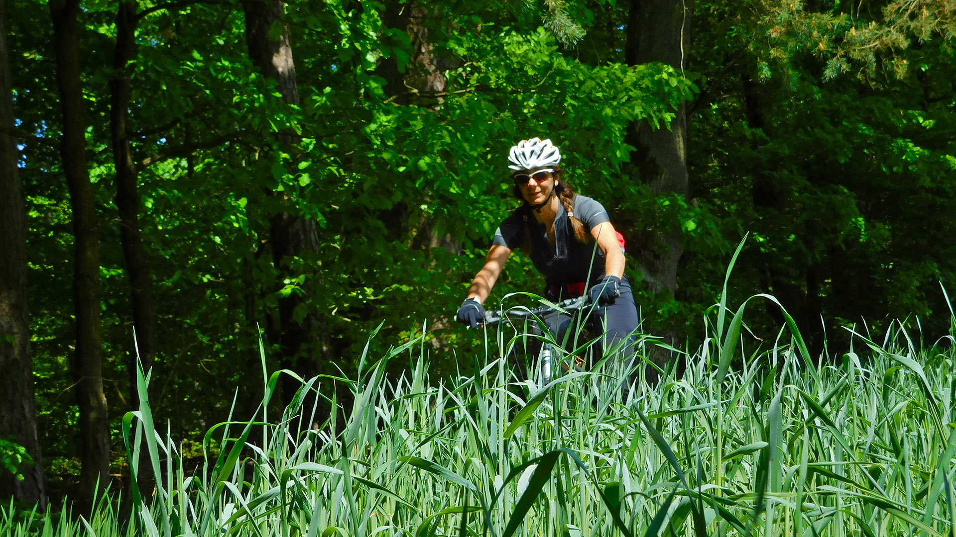 MTB Weisendorf Forest