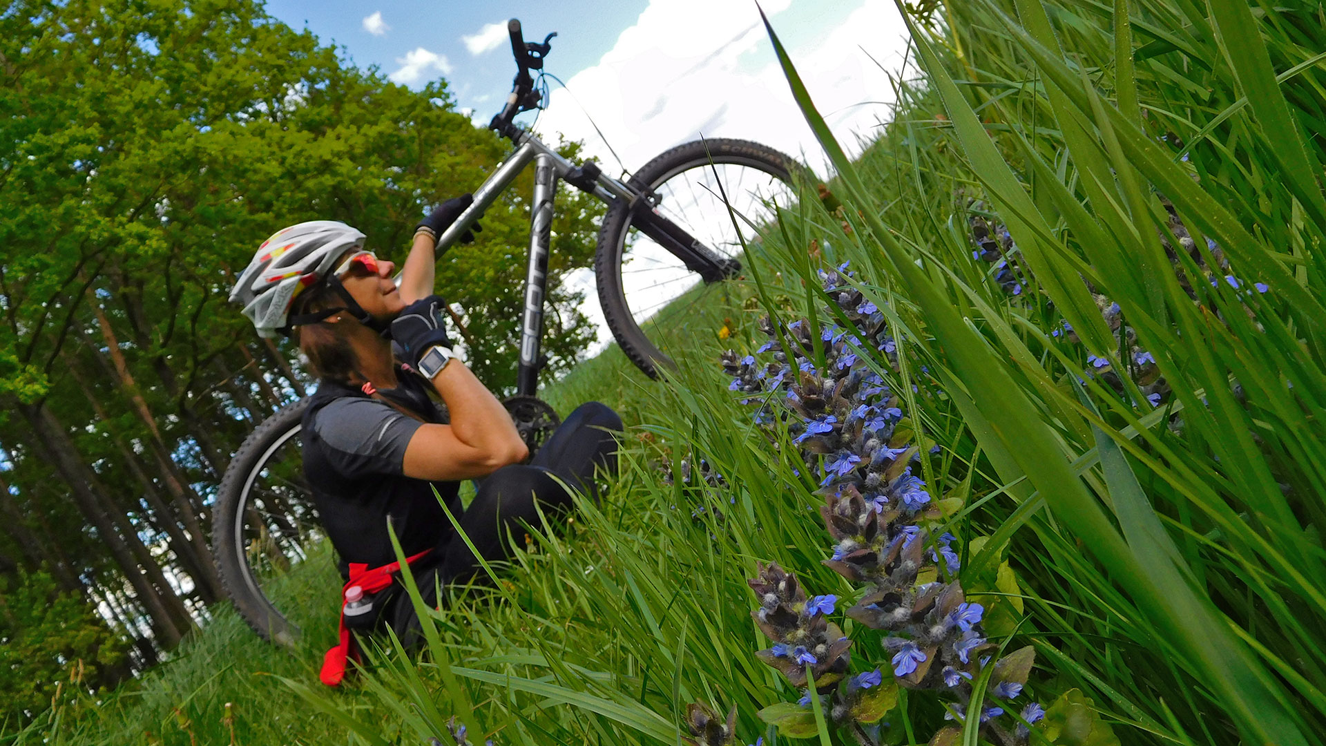 MTB Weisendorf Forest