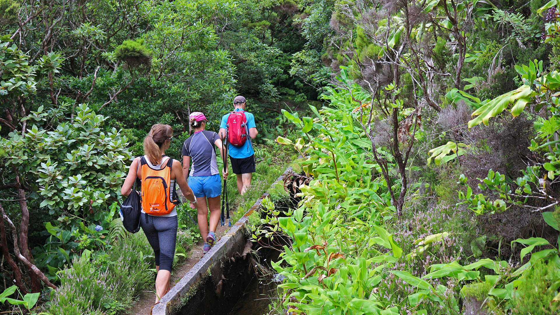 Caminada Açores - Lagoa de Fogo