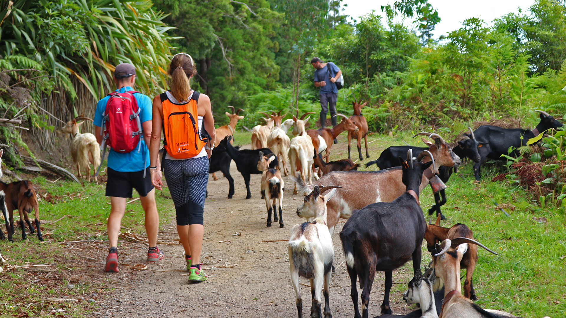 Caminada Açores - Lagoa de Fogo