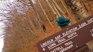 Long Trail hiking Lincoln Gap to Mt Abraham-VT-USA