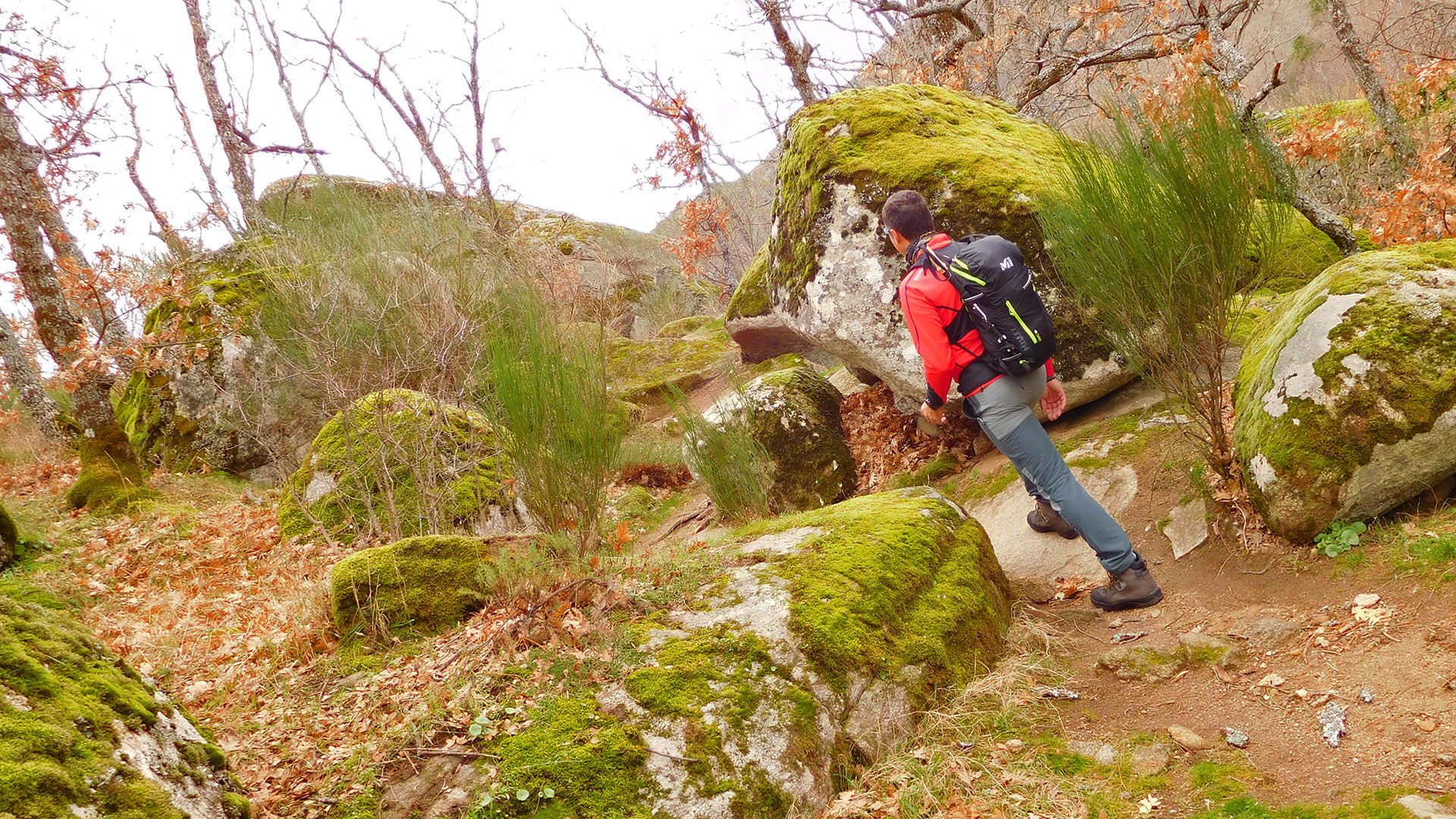 Las cumbres escurialenses