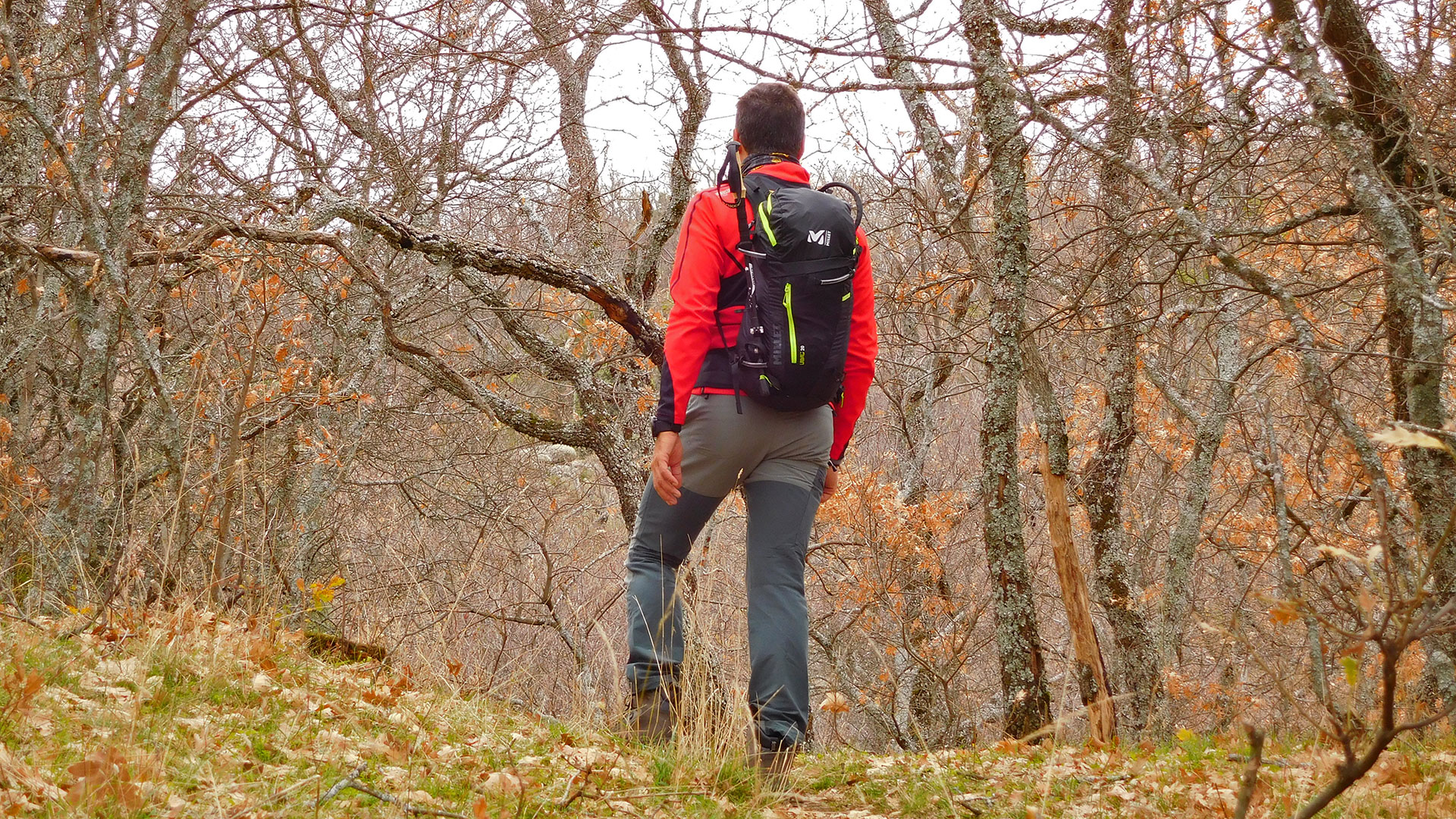 Las cumbres escurialenses