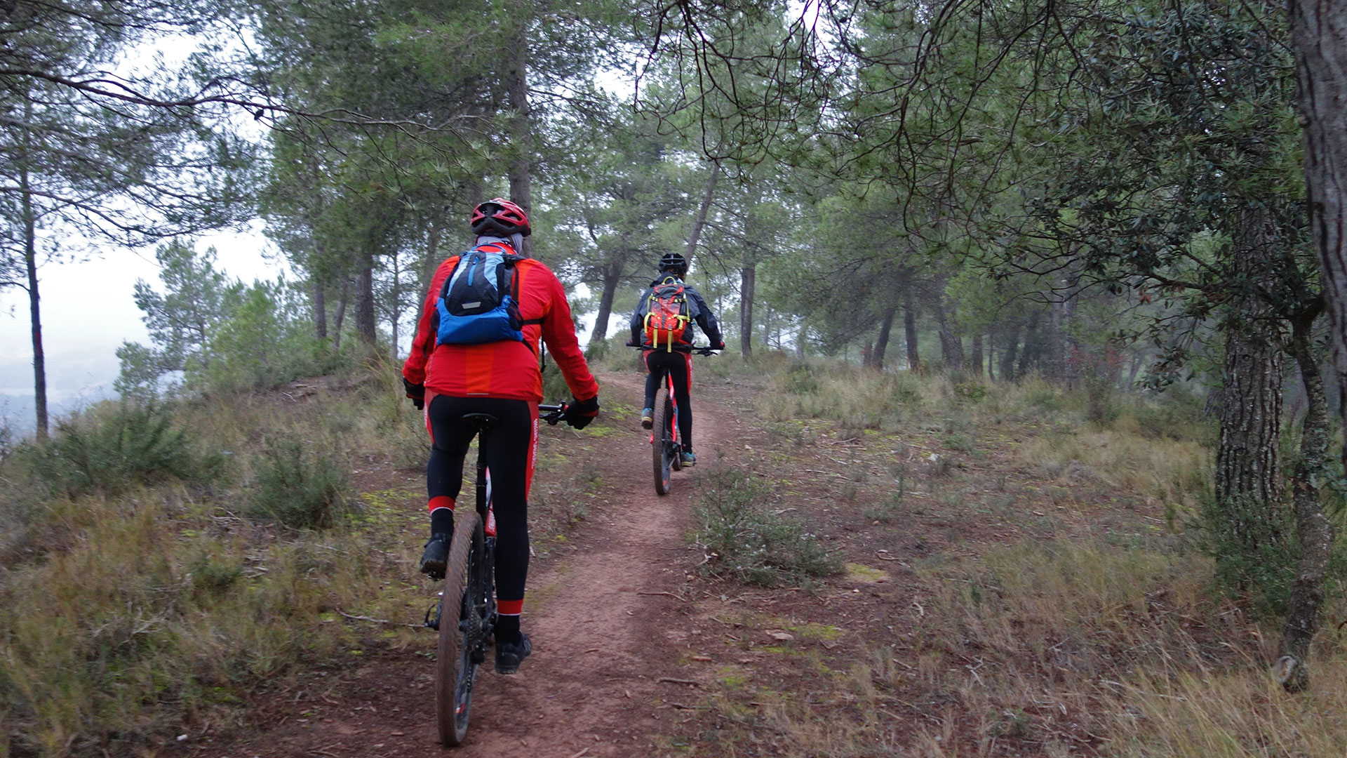 Corriols per LLedoners