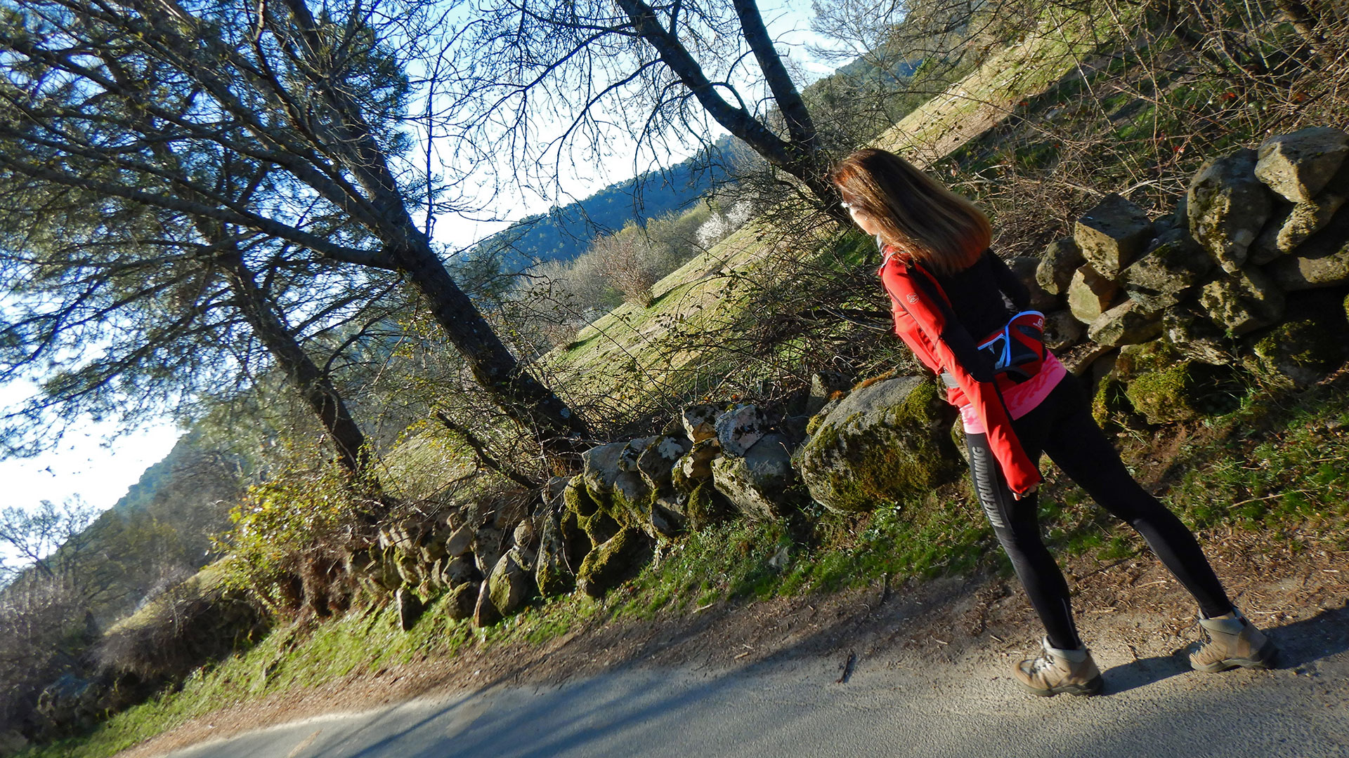 Rutas del Bosque Plateado y del Agua