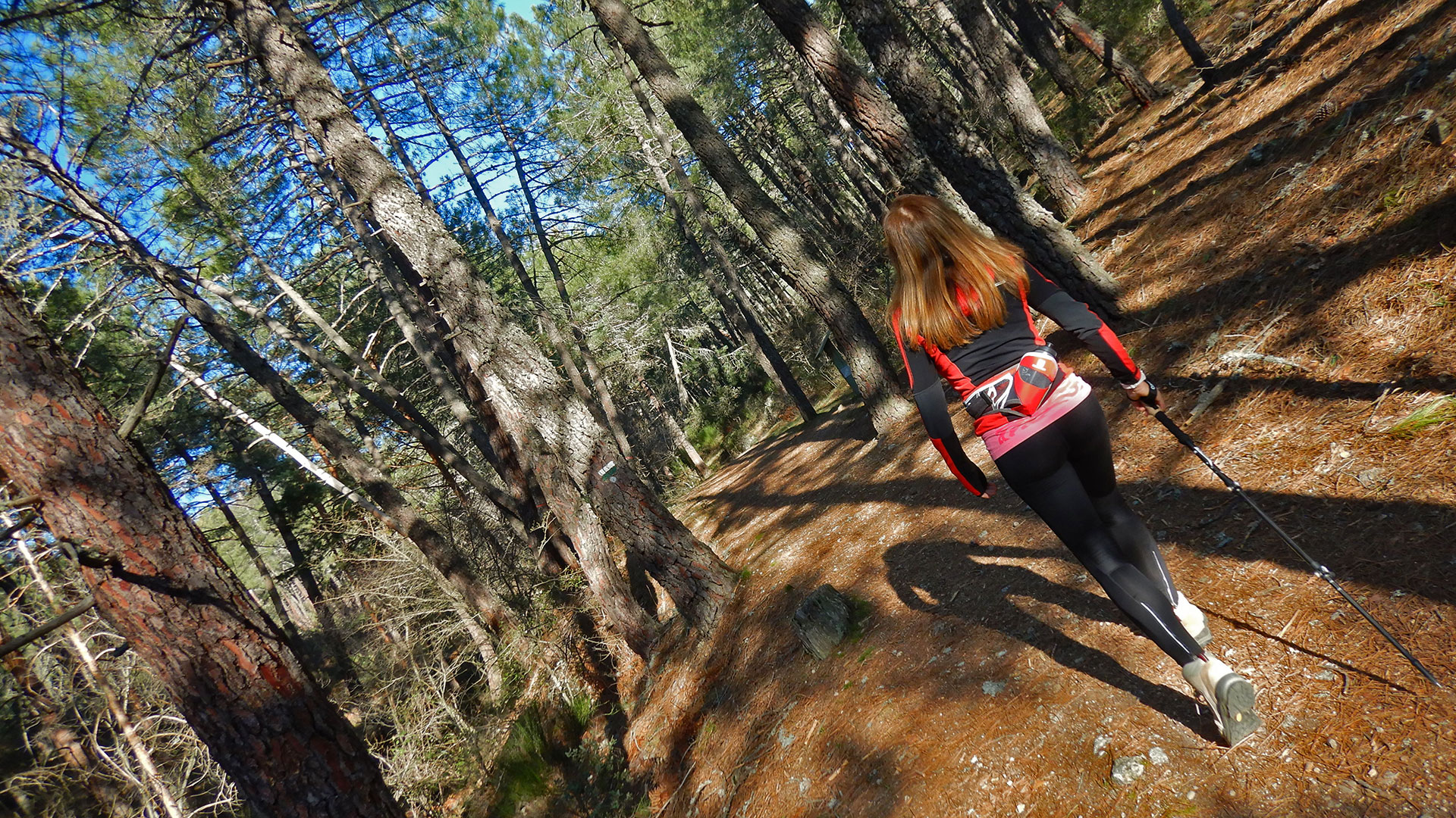 Rutas del Bosque Plateado y del Agua