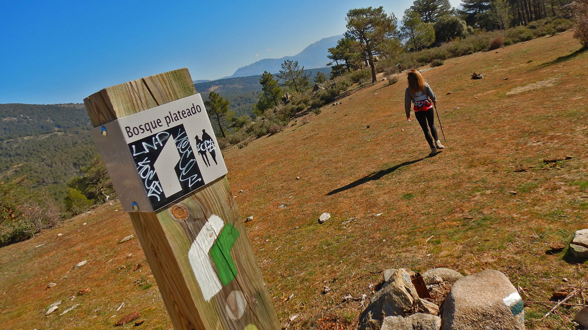 Rutas del Bosque Plateado y del Agua
