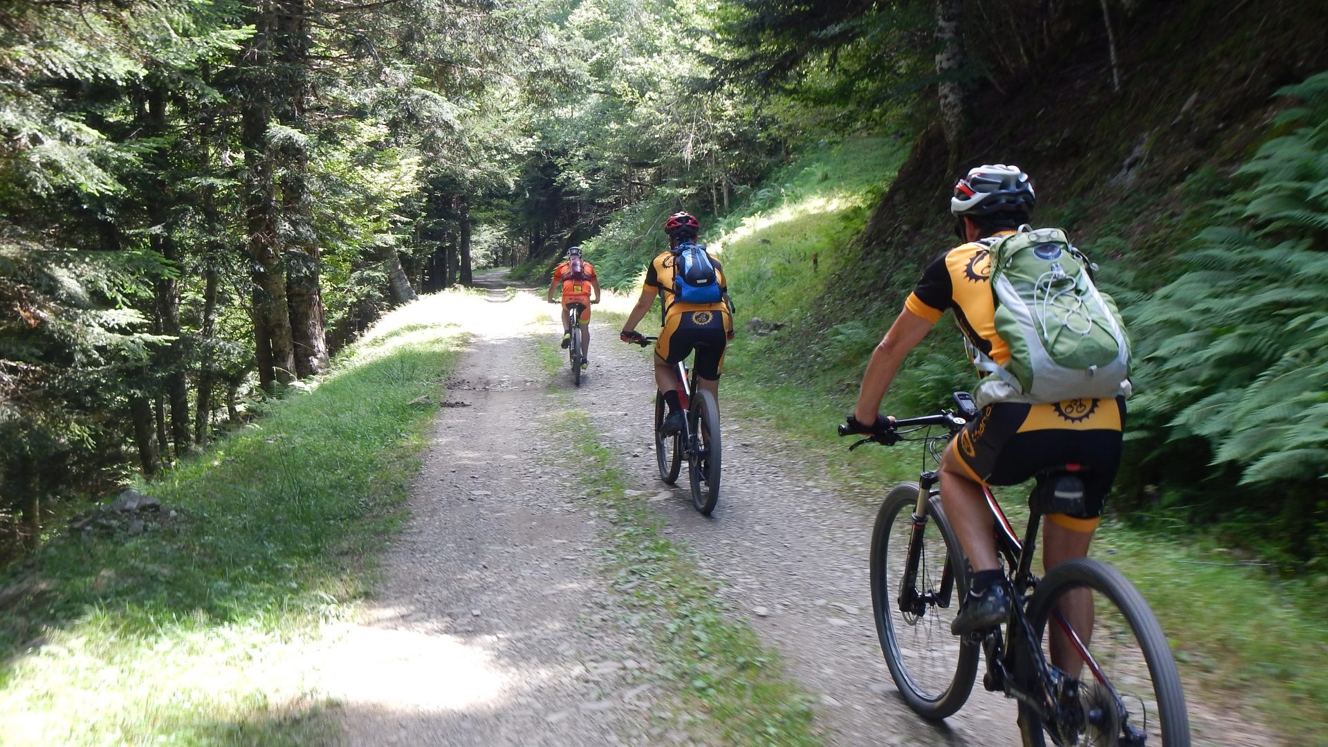 Vall d´Aran dia 2 - Les-Porcingles-Canejan