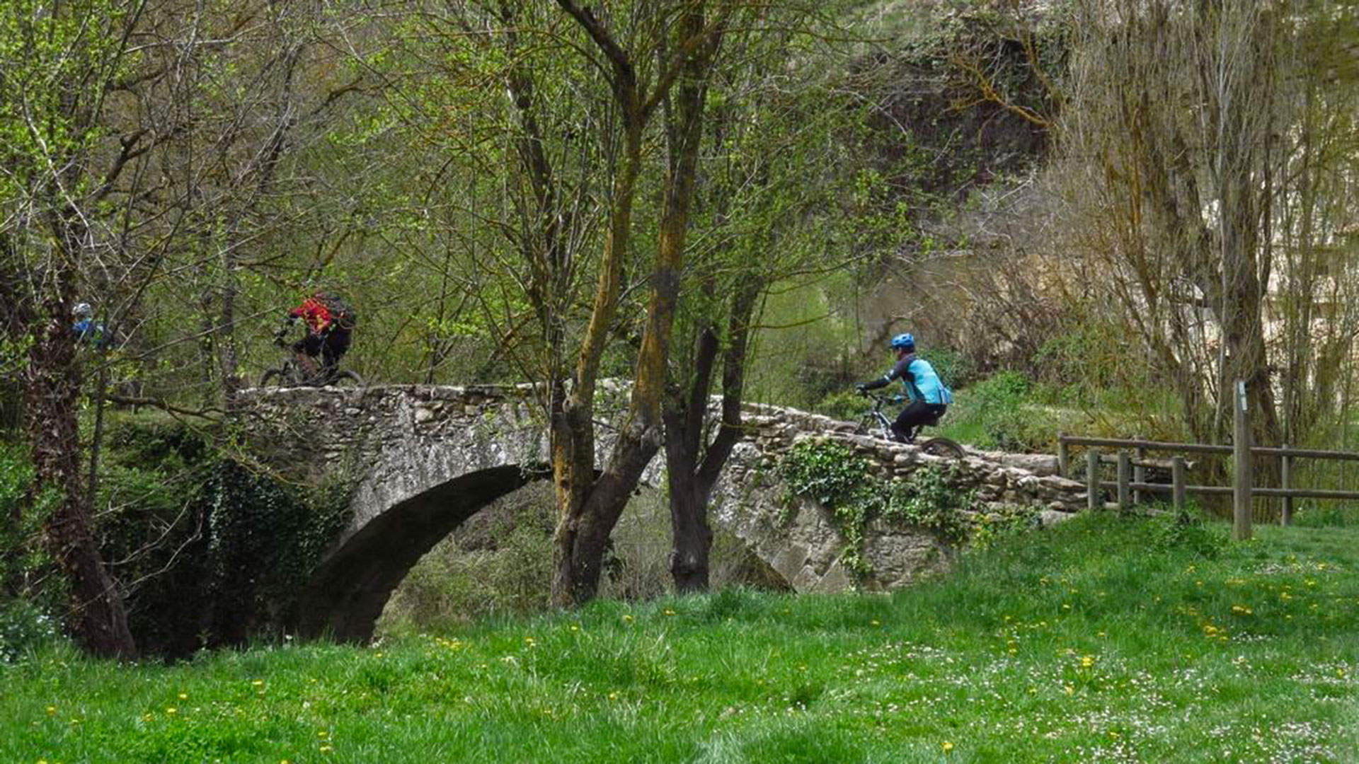 Els secrets del Moianès