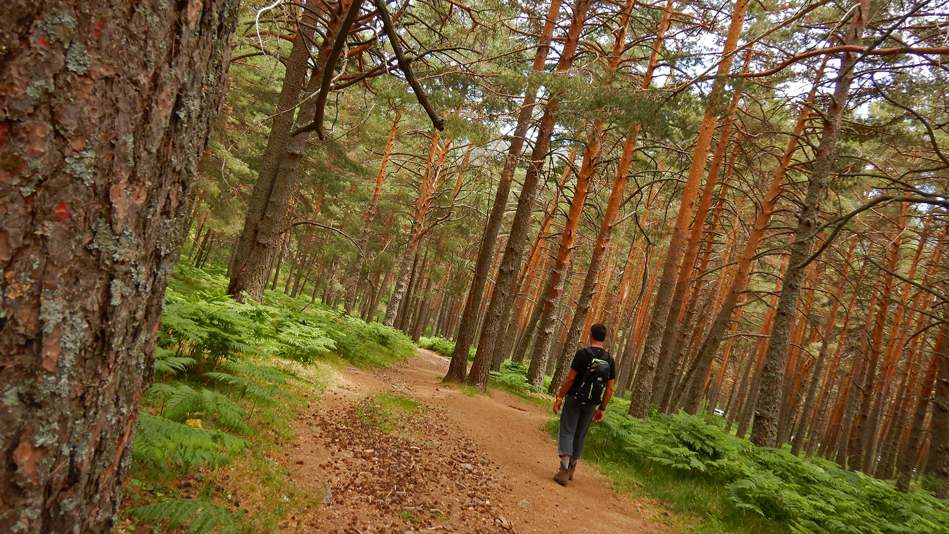 La Mujer Muerta desde Cercedilla