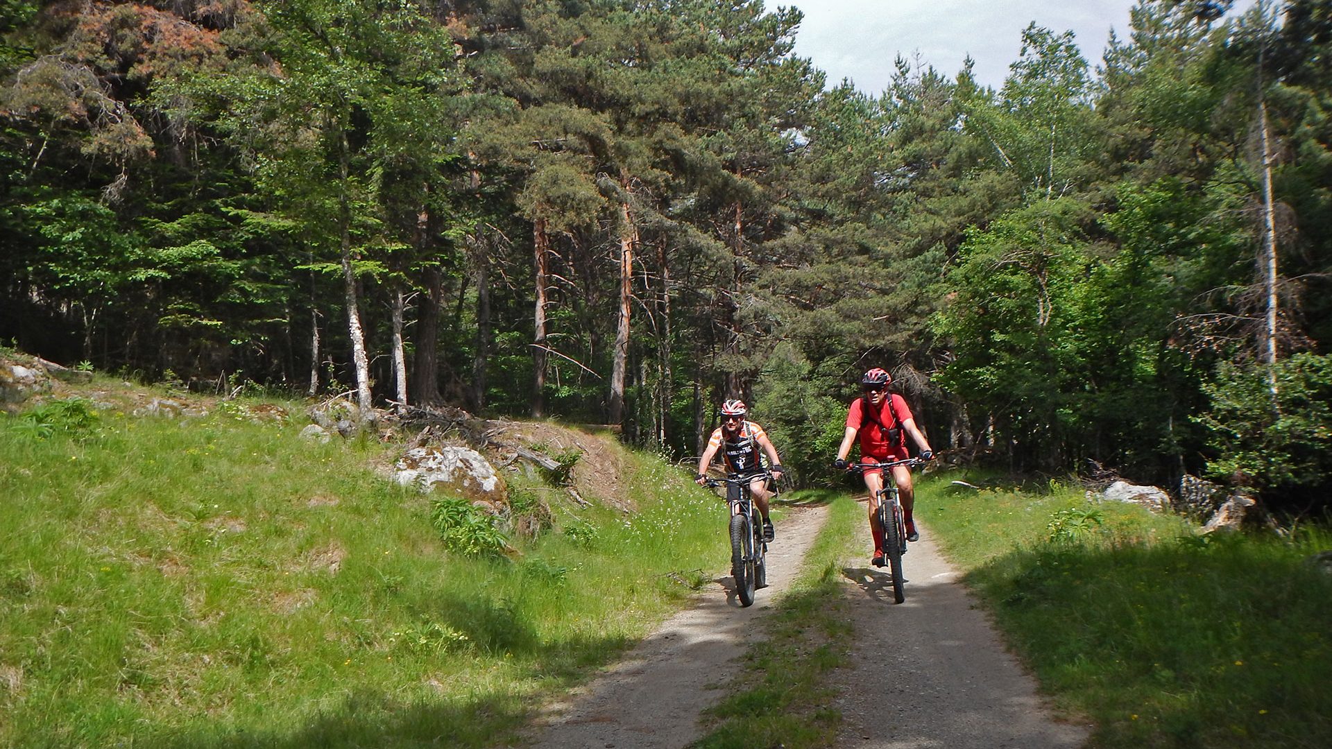 Matinal pel Bosc del Gerdar