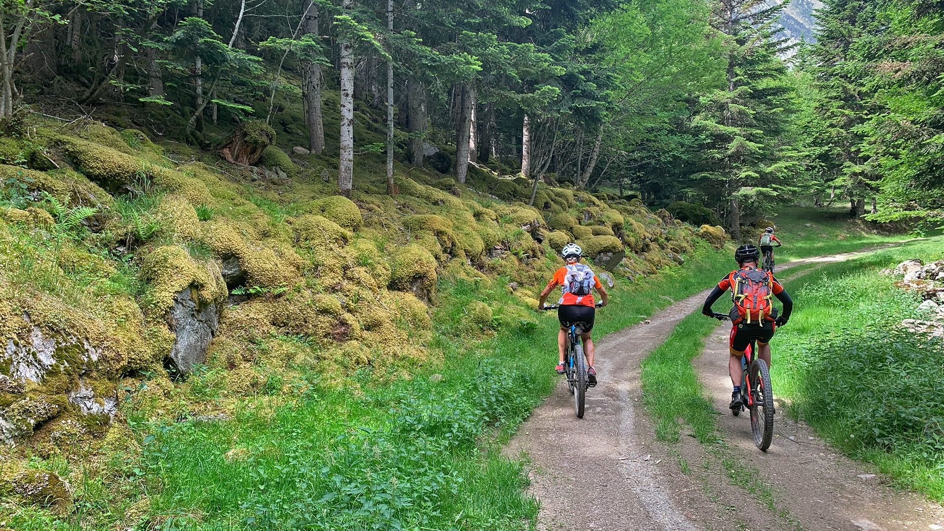 Matinal pel Bosc del Gerdar