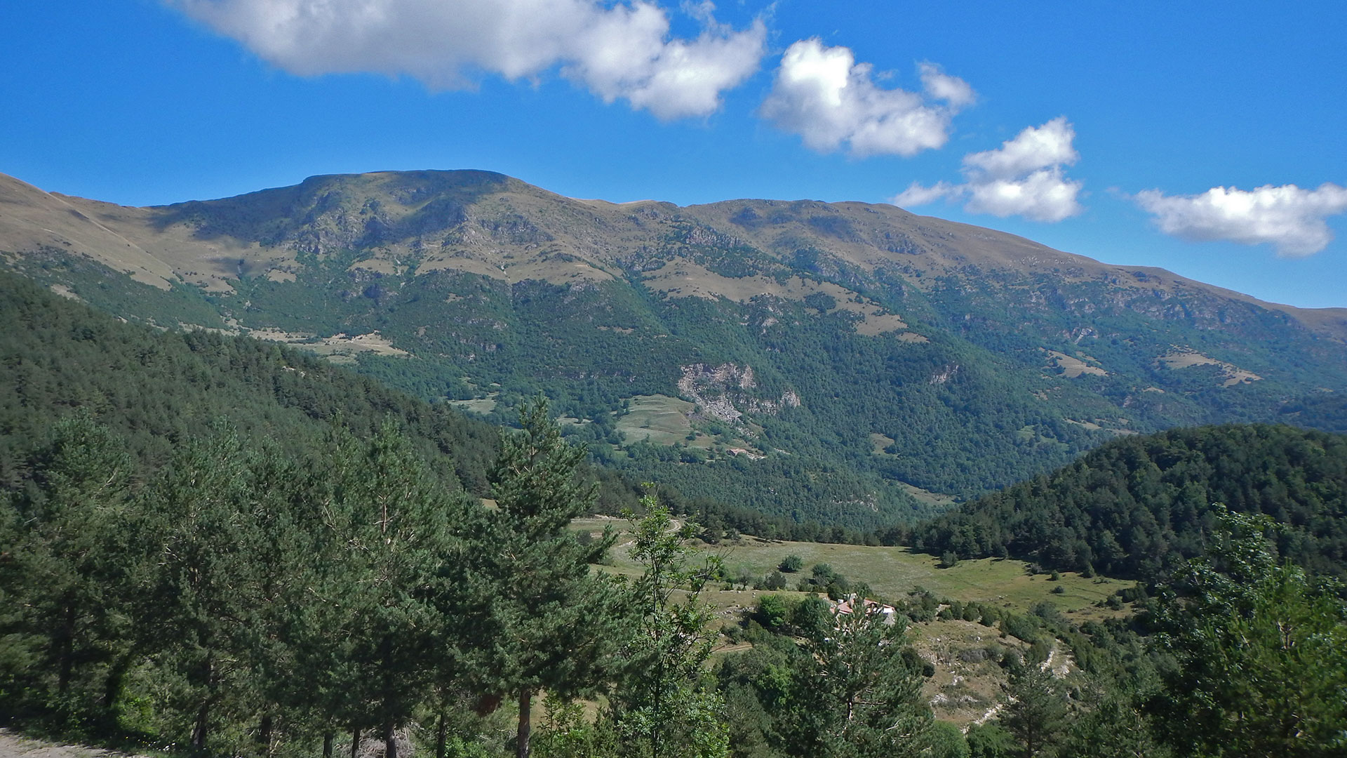 Sant Joan de les Abadesses - Taga