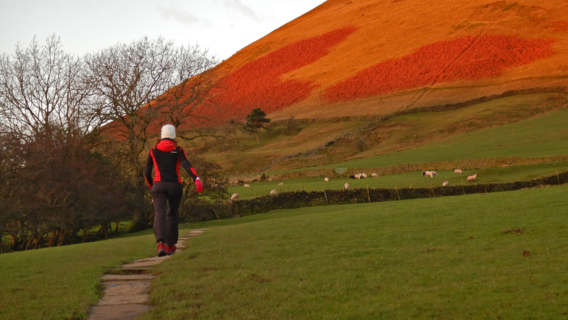 Peak District National Park & Kinder Scout