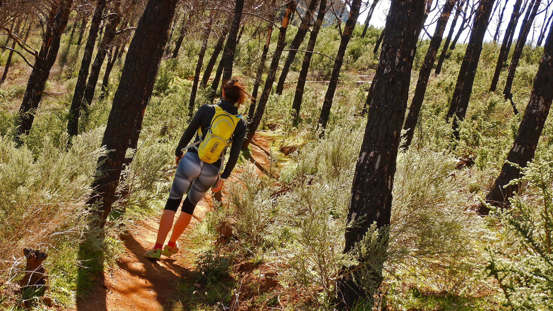 Trekking Cruz de Tejeda - Degollada Becerra