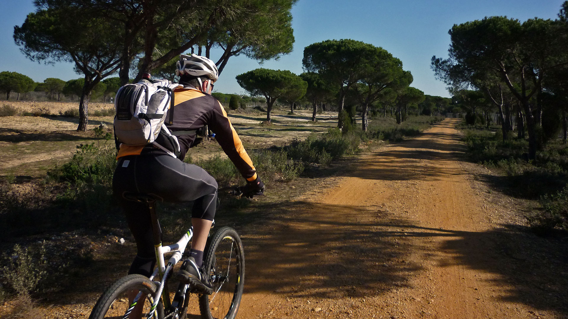 BTT Parque Natural del Entorno de Doñana