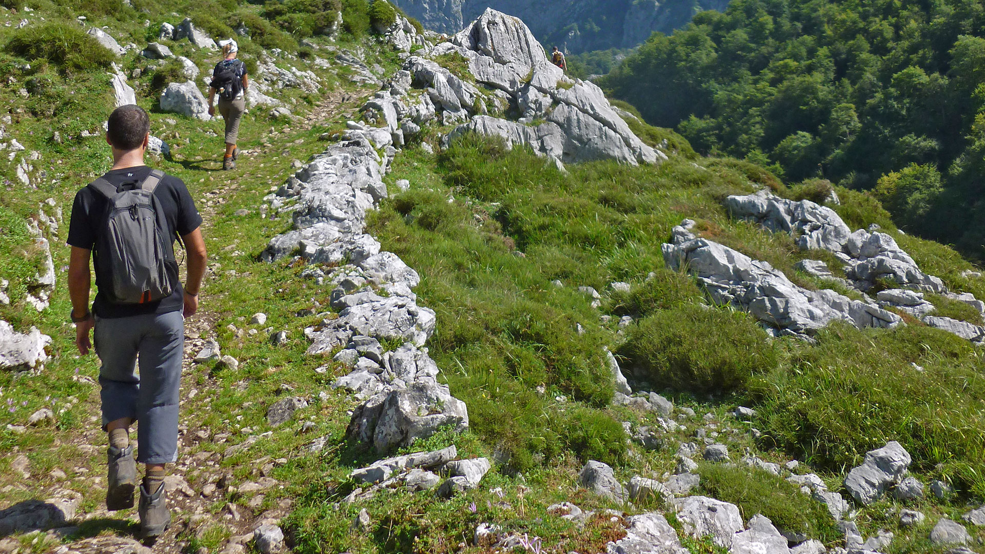 PN Picos de Europa - GR-201 Senda del Arcediano