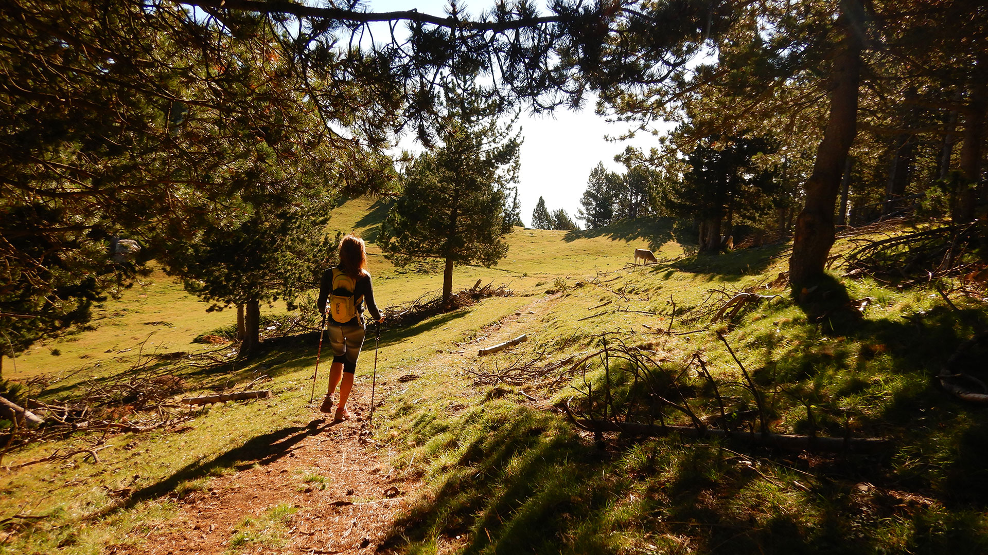 Vuelta a Rasos de Peguera