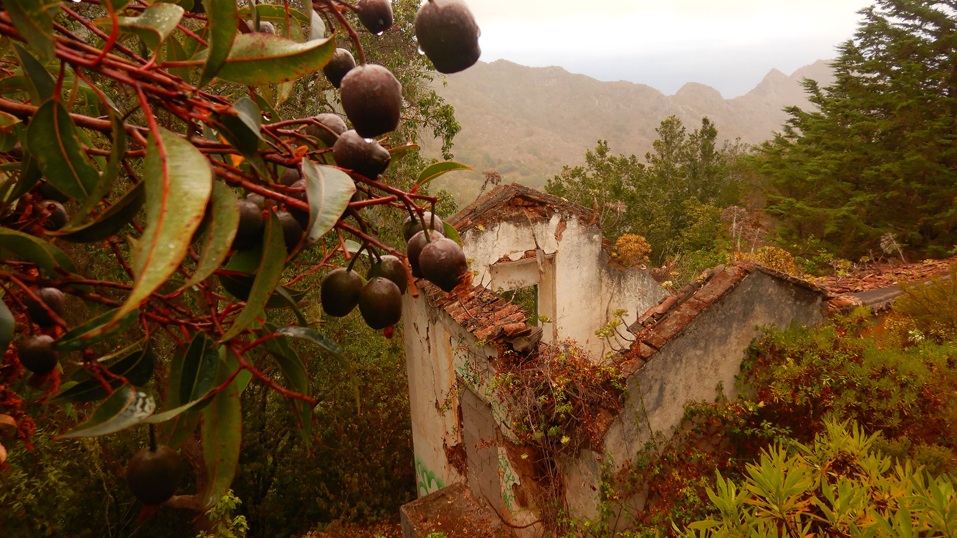 Macizo de Anaga. Bajamar - Casa de Franco