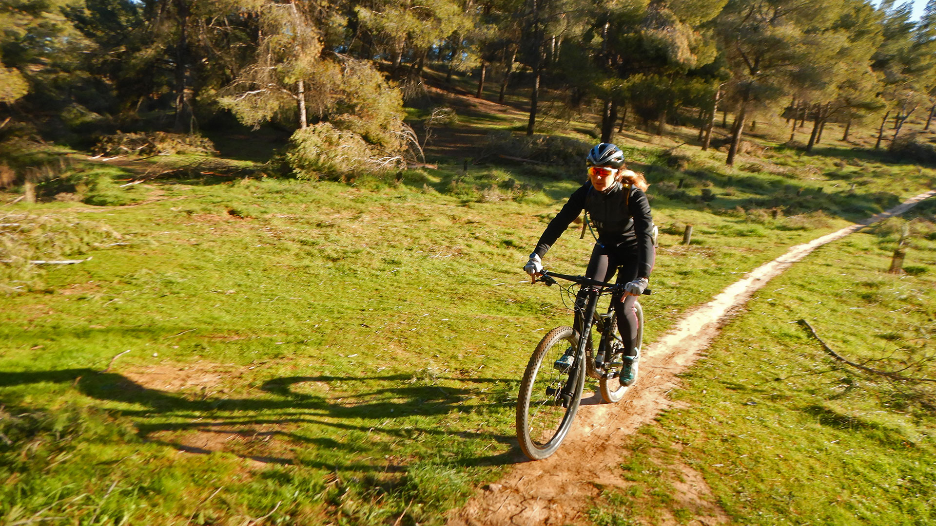 Parque Natural de los Cerros de Alcalá