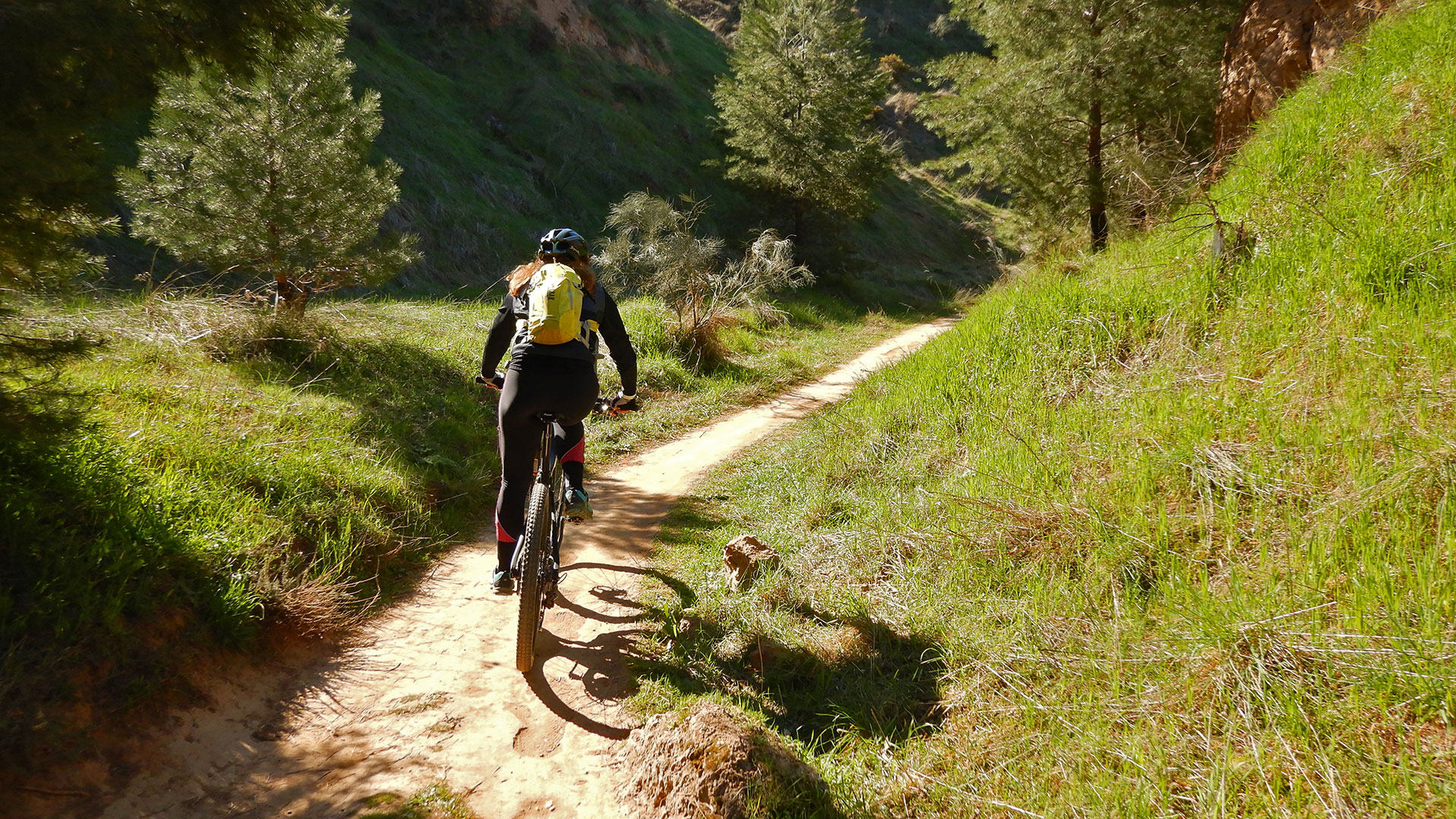 Parque Natural de los Cerros de Alcalá
