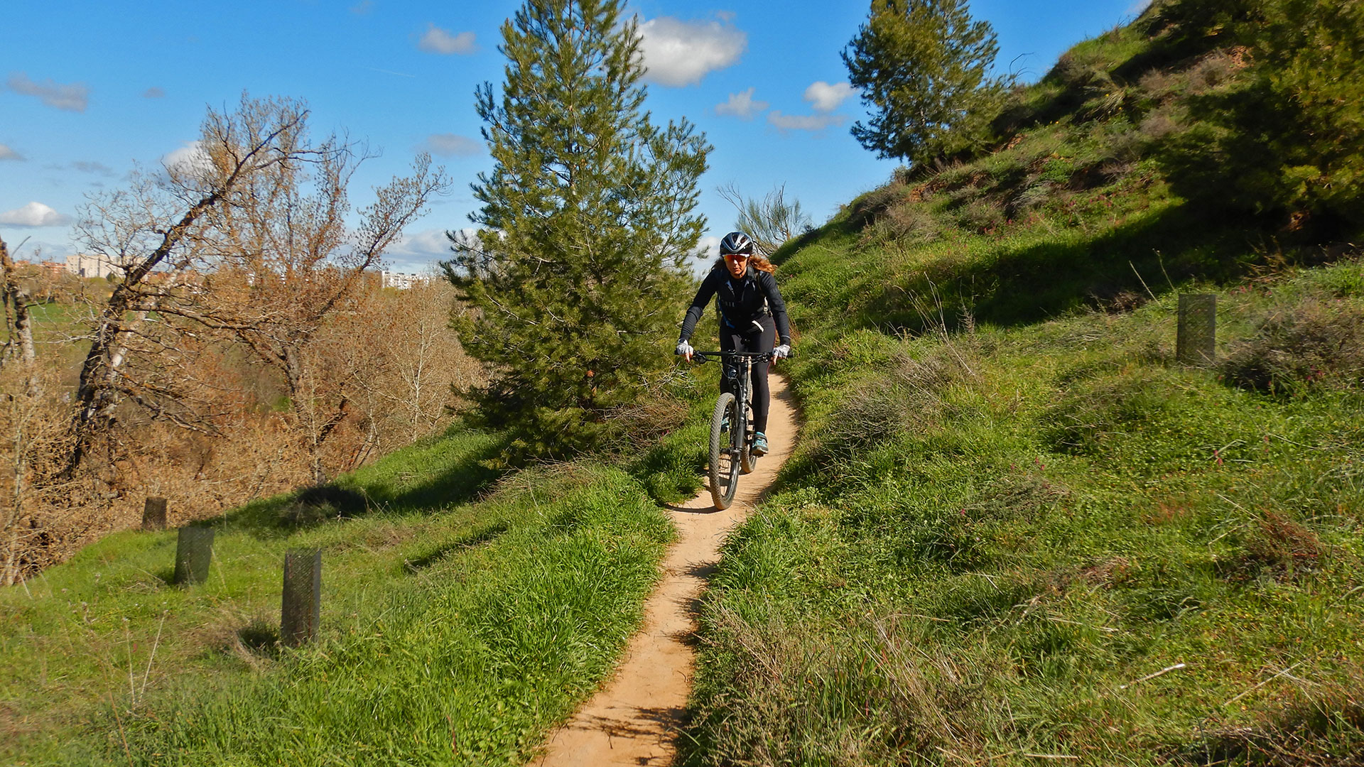 Parque Natural de los Cerros de Alcalá