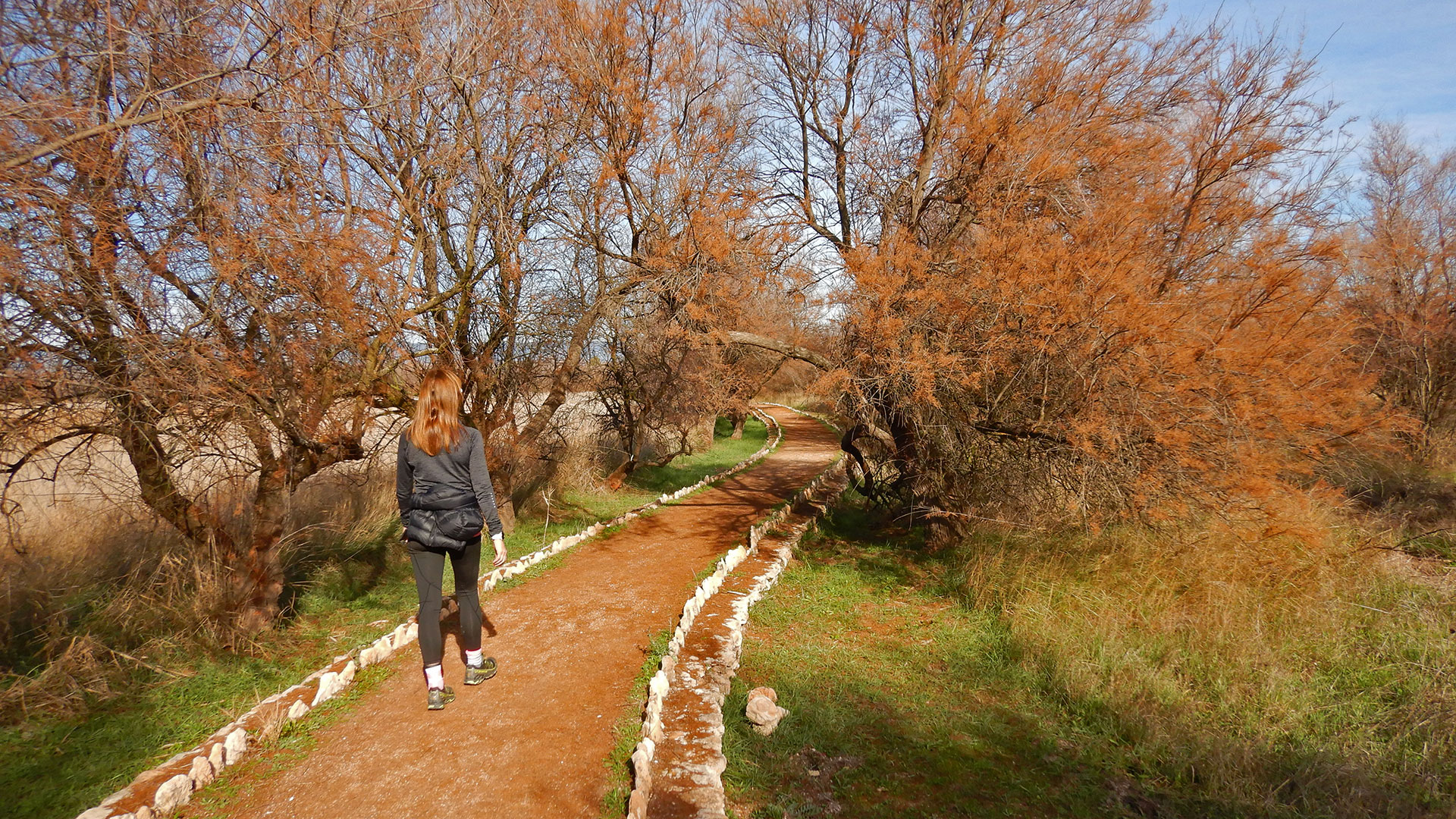 Parque Nacional de las Tablas de Daimiel