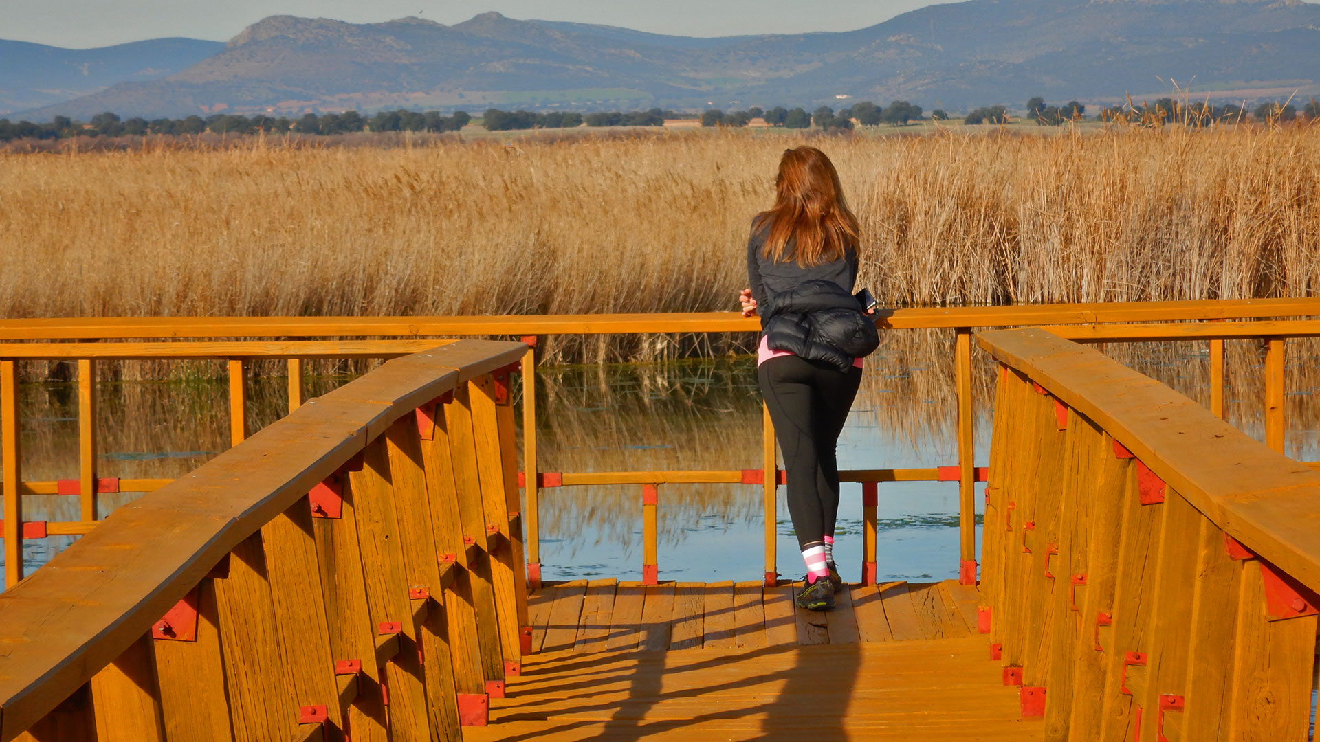 Parque Nacional de las Tablas de Daimiel