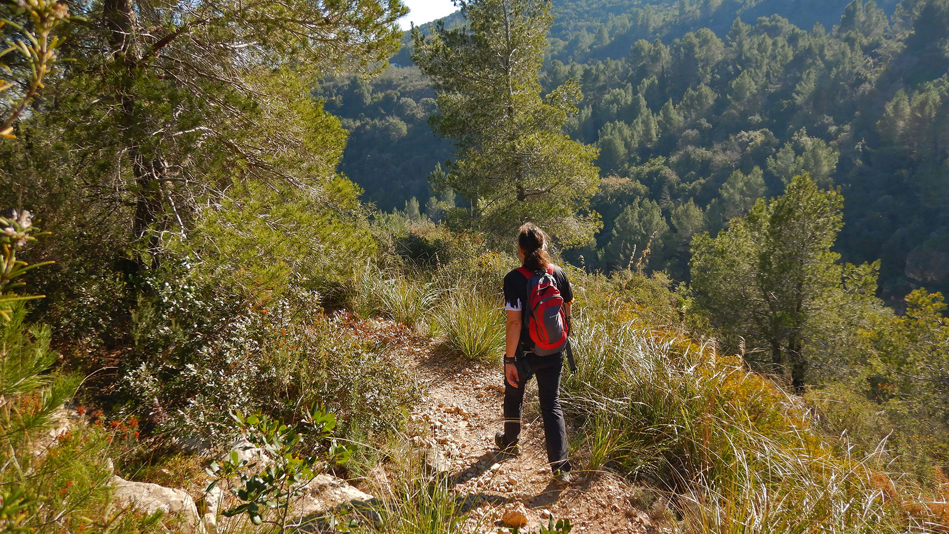 Sentiu-Castell d'Eramprunyà-La Morella