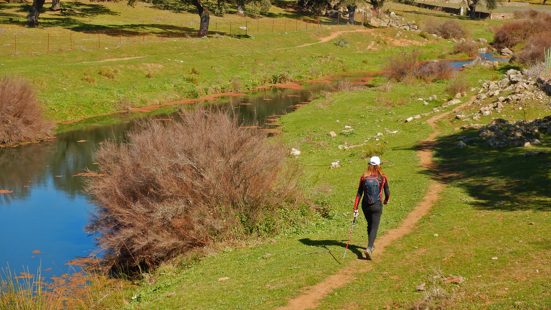 Real de la Jara - Camino El Batrocal