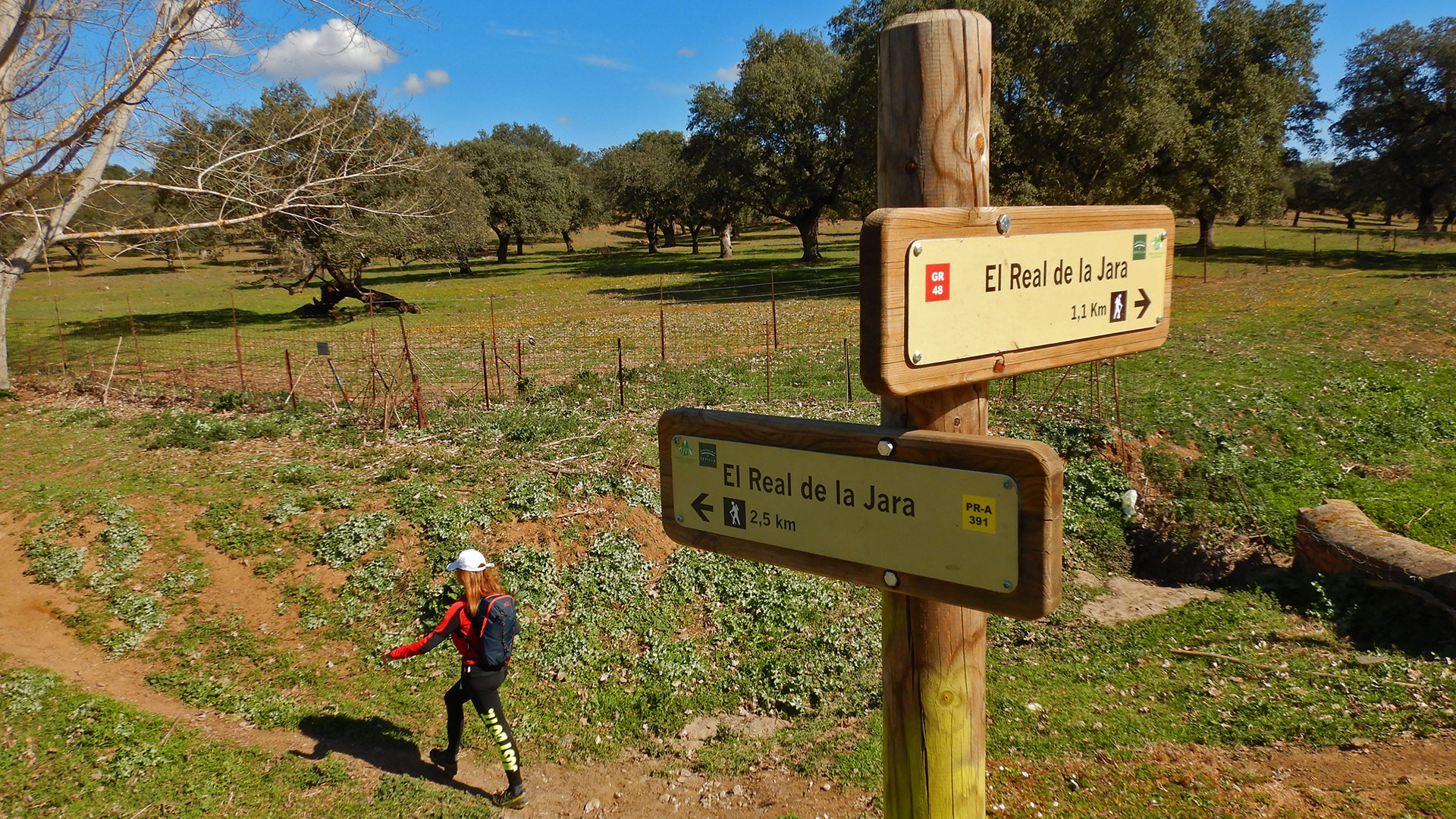 Real de la Jara - Camino El Batrocal