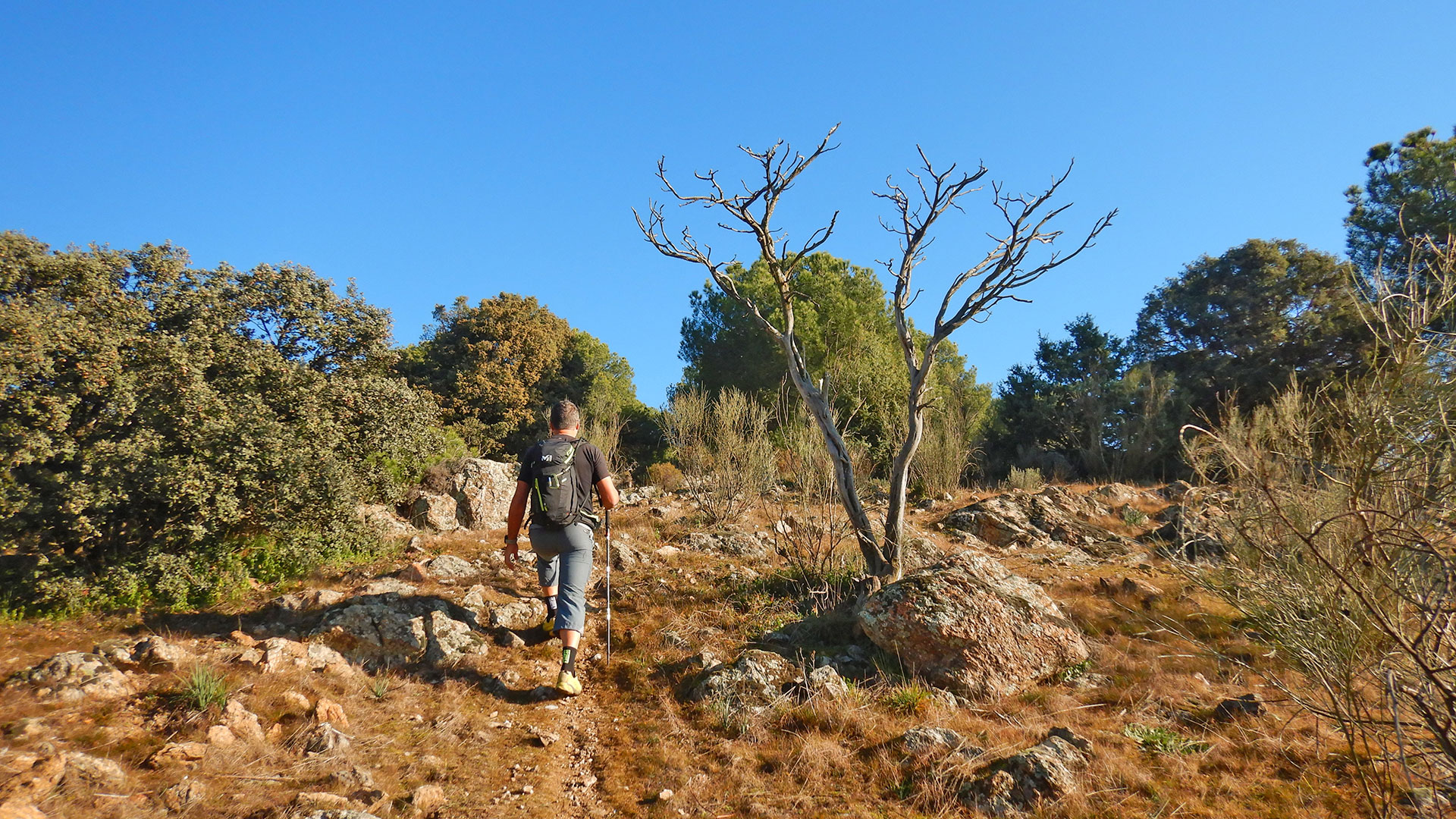 Cerro De La Osera y Monte Cuesta Blanca