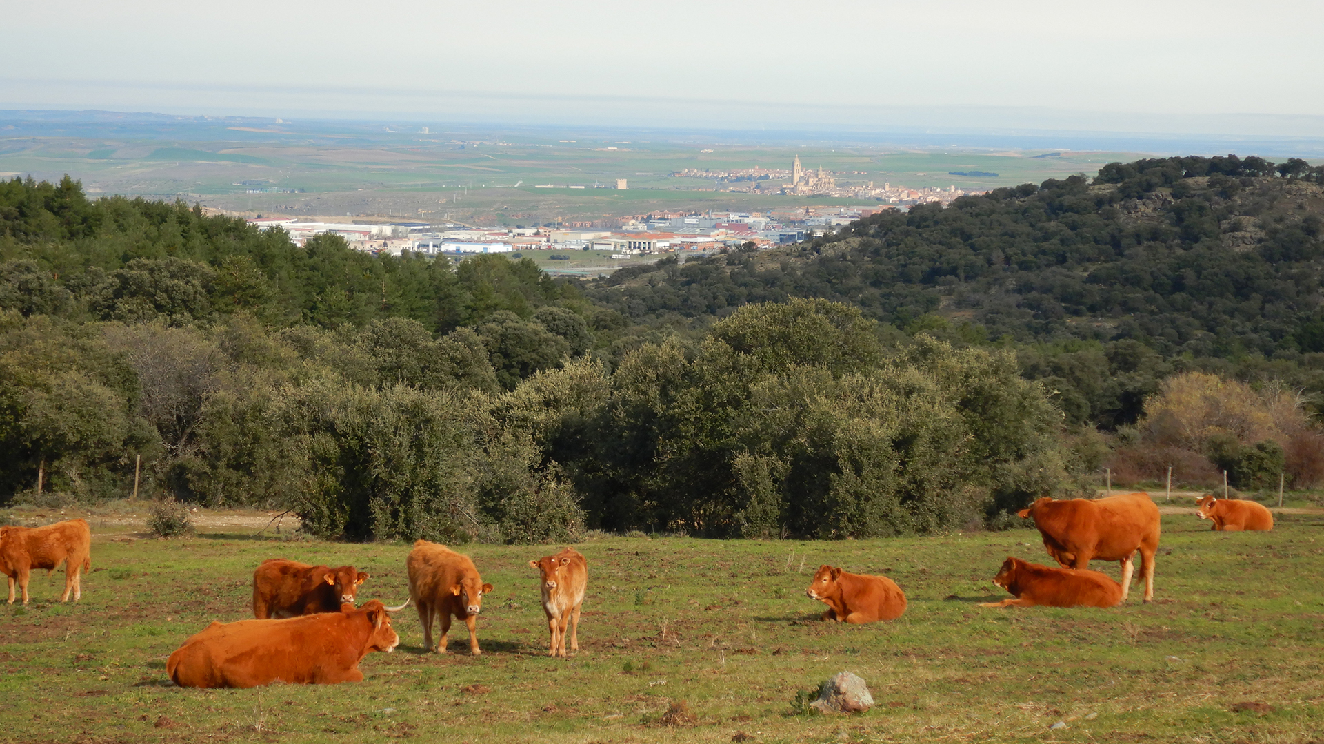 Cabeza Grande y Azud del Acueducto