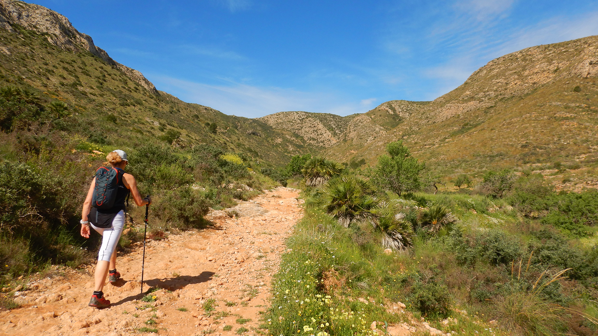 Peñas Blancas - Minas de Colón