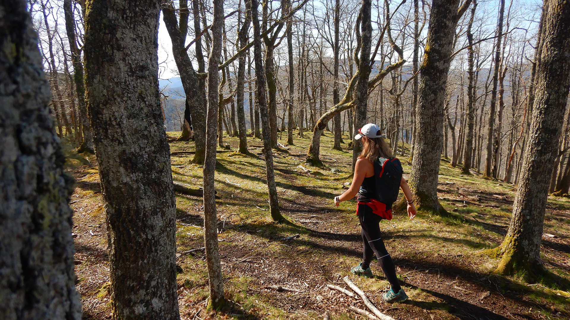 Alto de la Guarda - PN Saja-Besaya