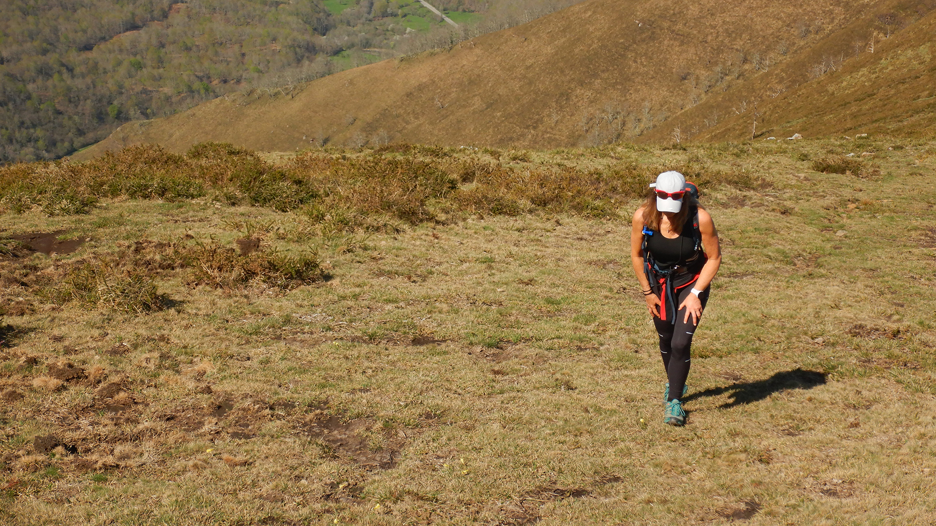 Alto de la Guarda - PN Saja-Besaya
