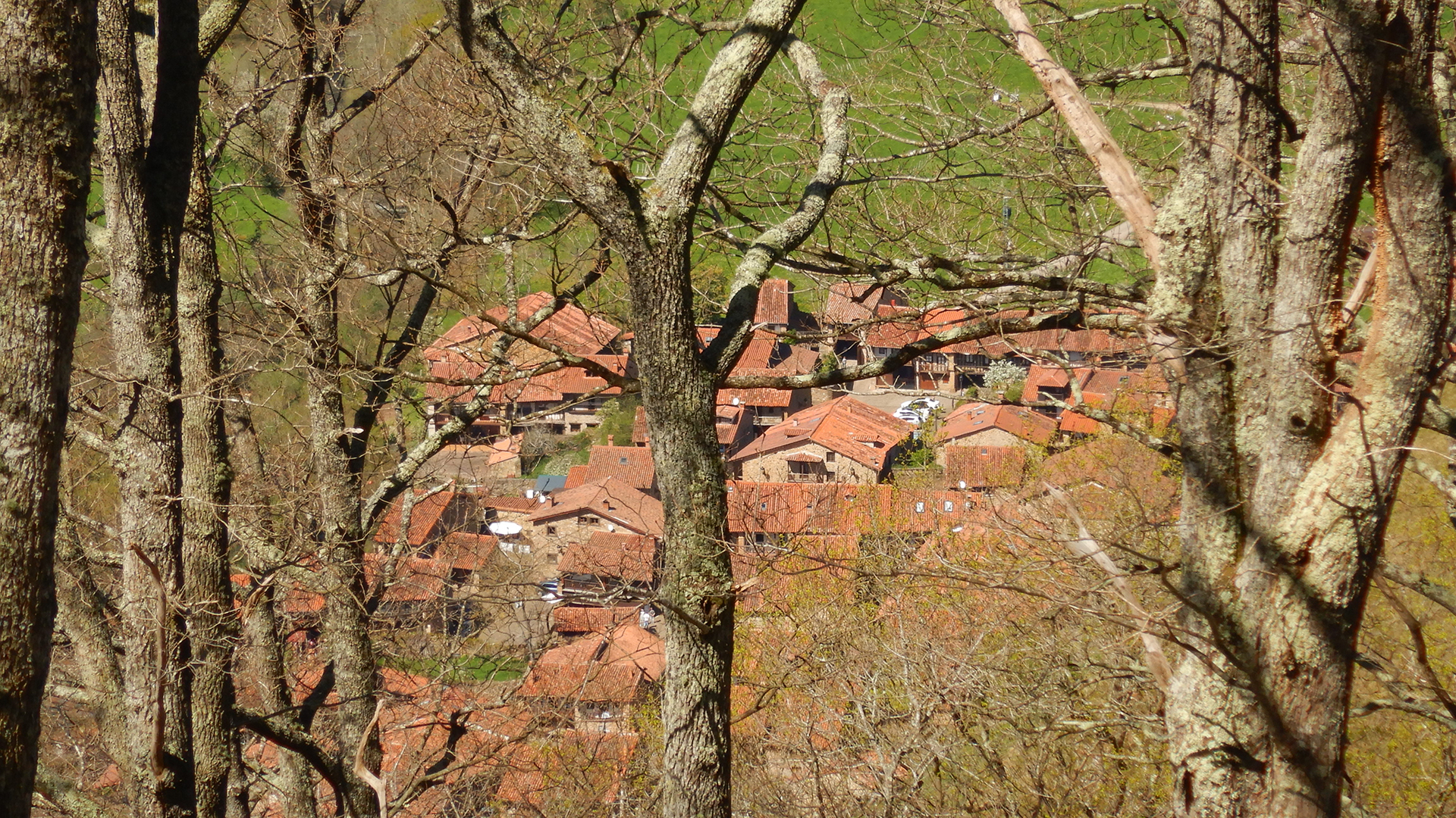Alto de la Guarda - PN Saja-Besaya